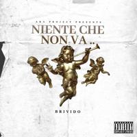Постер альбома Niente che non va ..