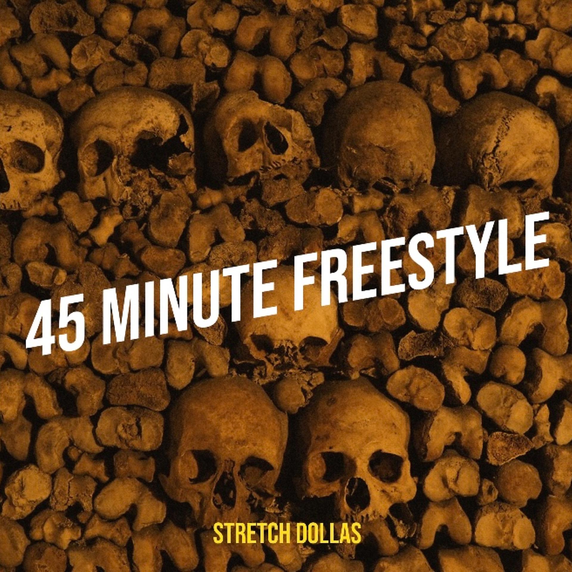 Постер альбома 45 Minute Freestyle