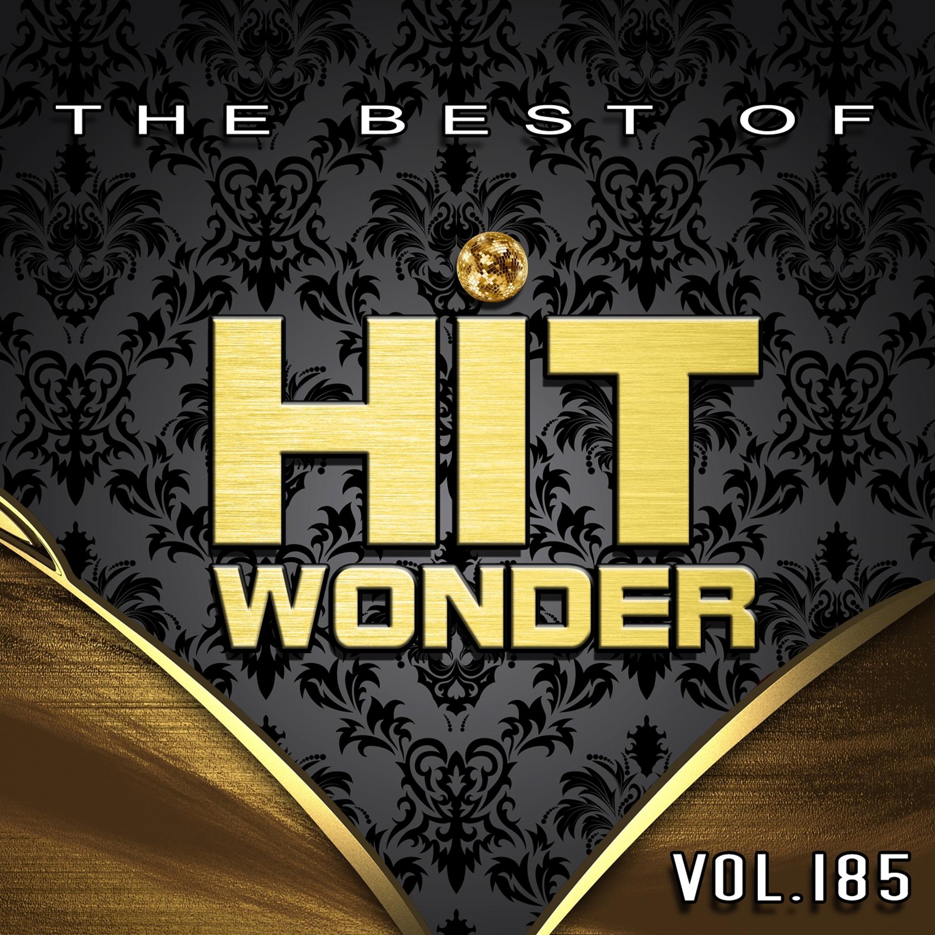 Постер альбома Hit Wonder: The Best of, Vol. 185