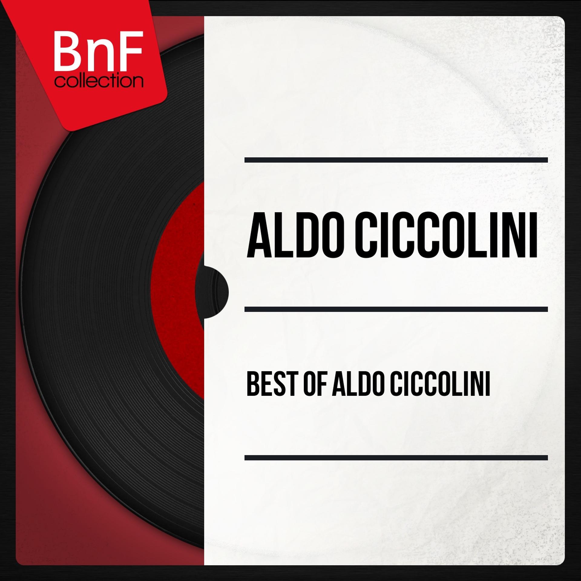 Постер альбома Best of Aldo Ciccolini