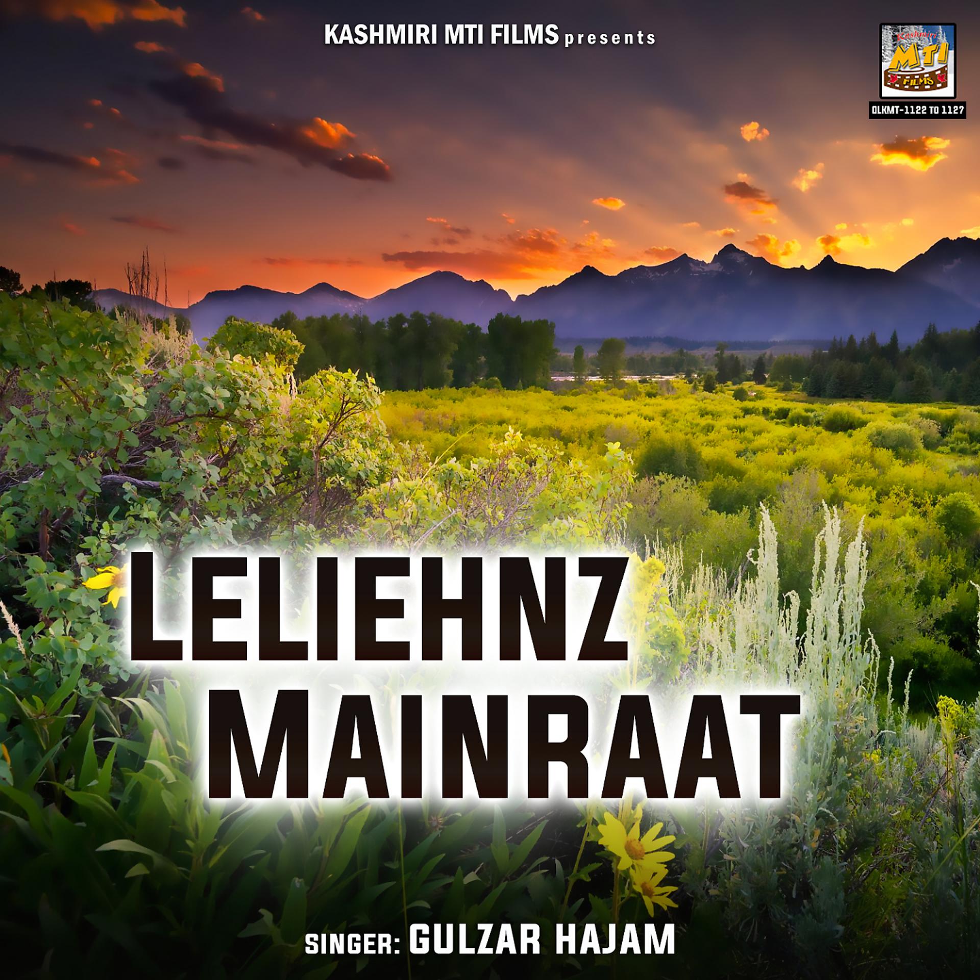 Постер альбома Leliehnz Mainraat