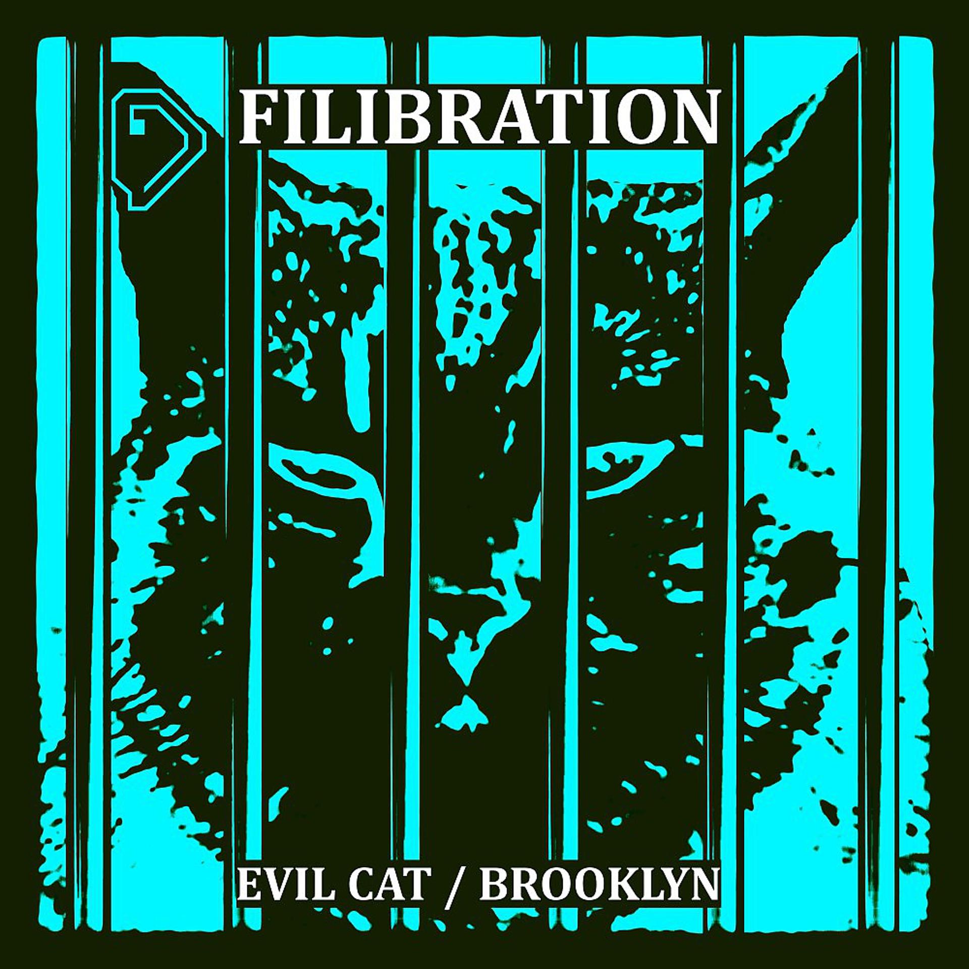 Постер альбома Evil Cat