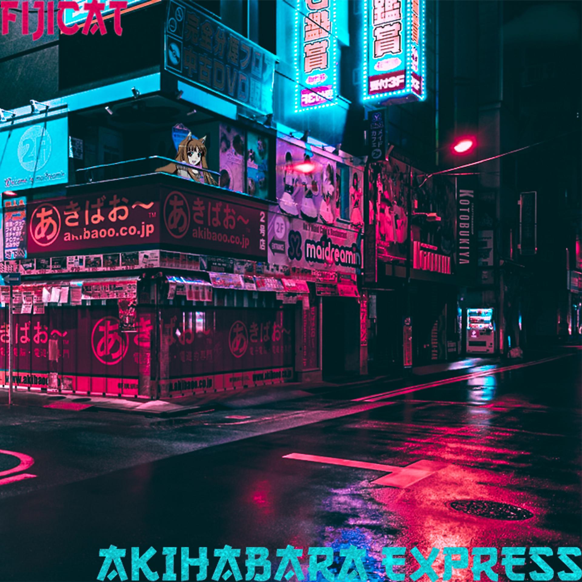 Постер альбома Akihabara Express