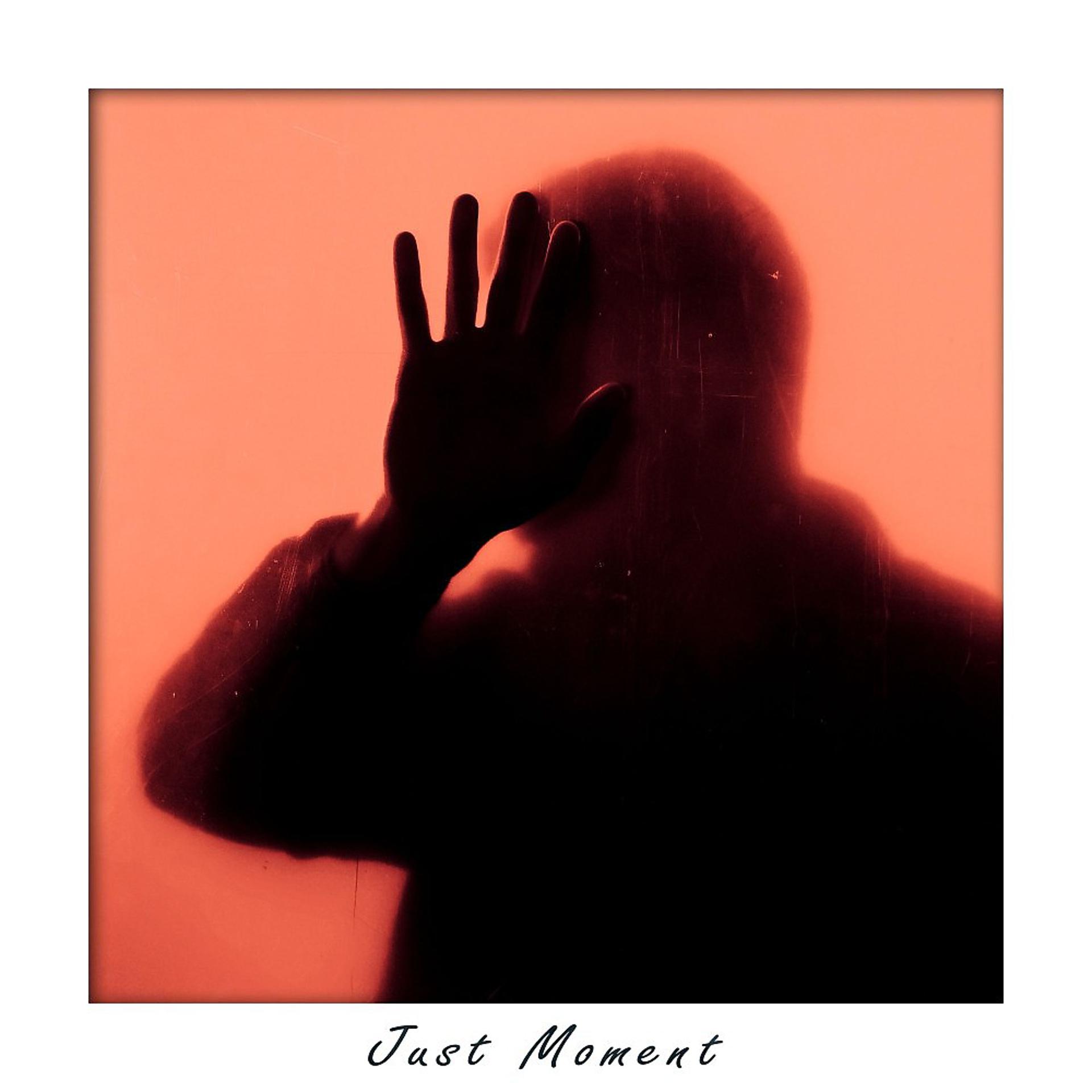 Постер альбома Just Moment