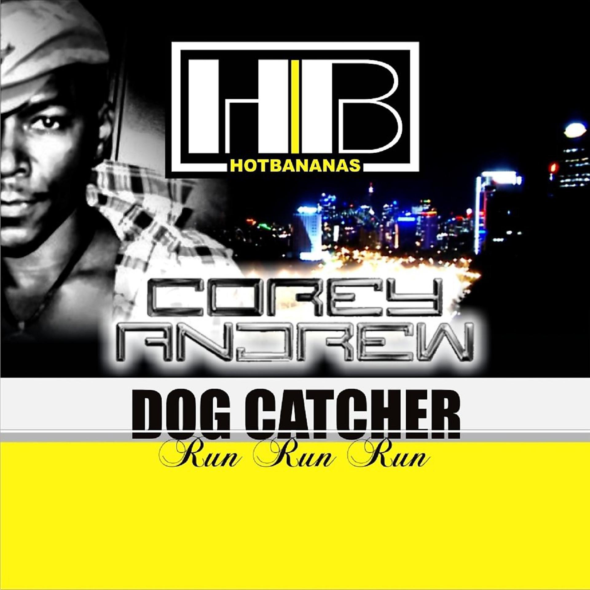 Постер альбома Dog Catcher (Run Run Run)