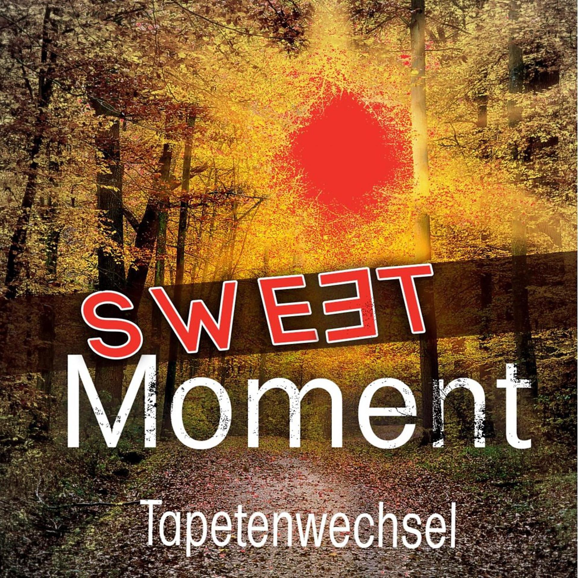 Постер альбома Sweet Moment (Extended Mix)