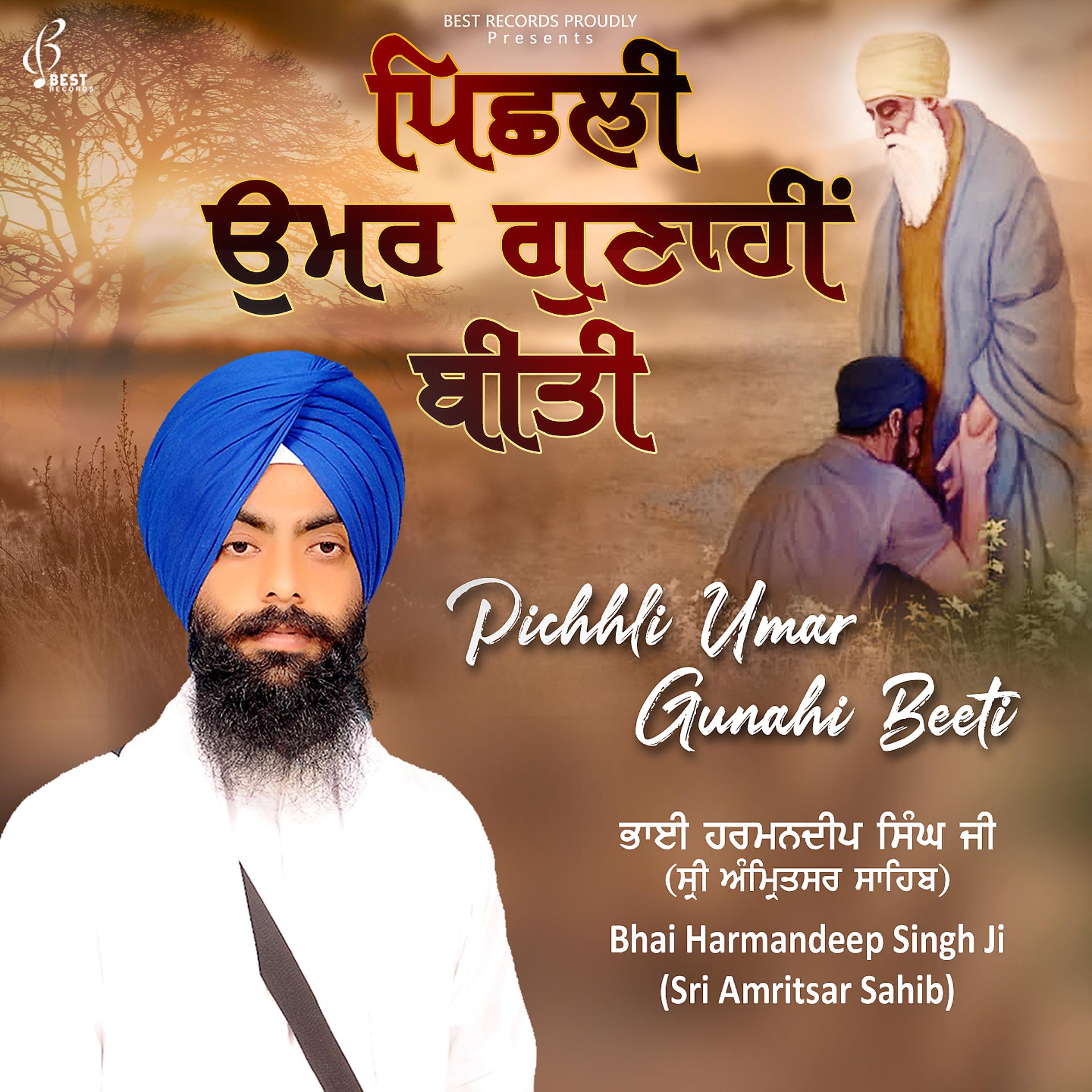 Постер альбома Pichhli Umar Gunahi Beeti