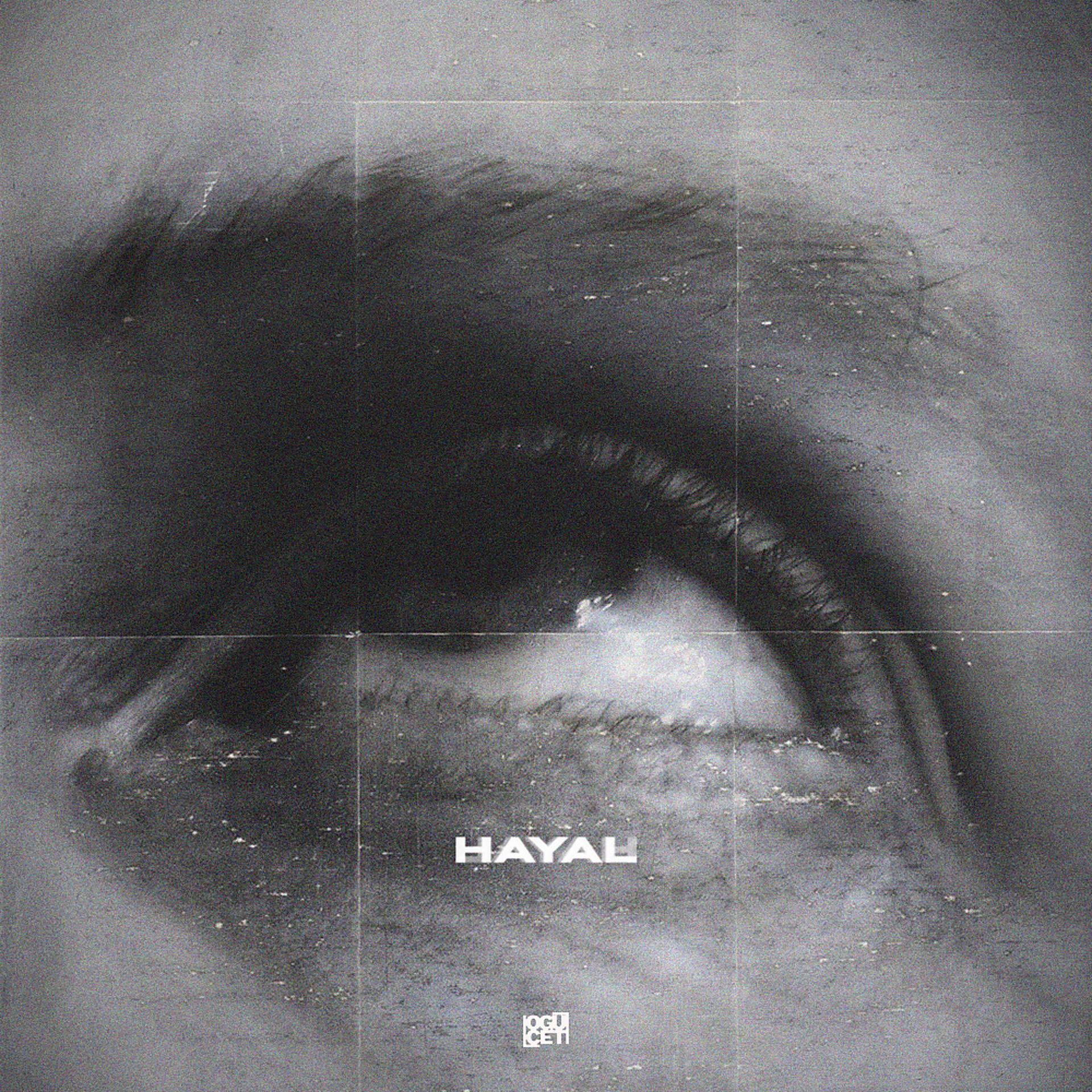 Постер альбома Hayal