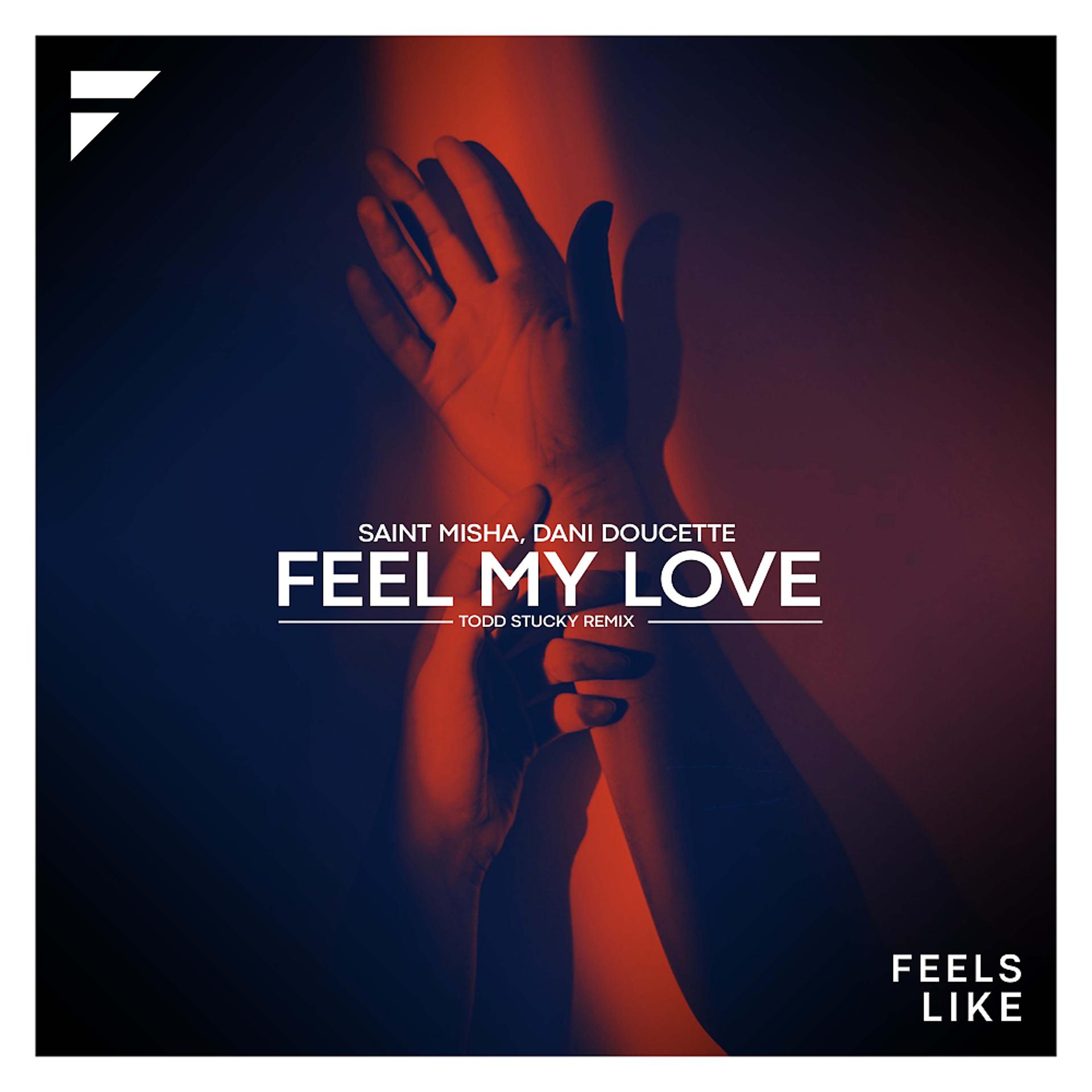 Постер альбома Feel My Love (Todd Stucky Remix)