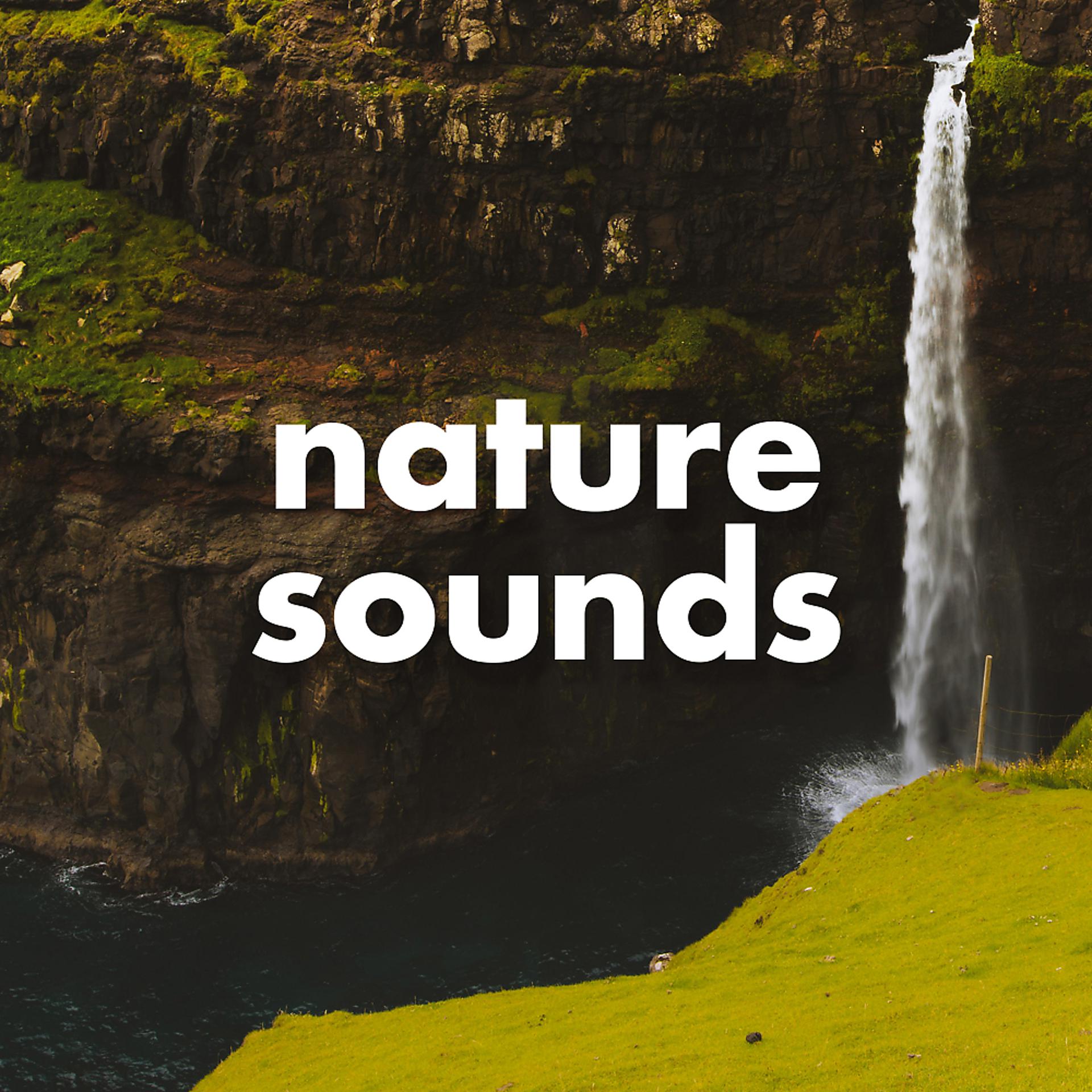 Постер альбома Nature Sounds