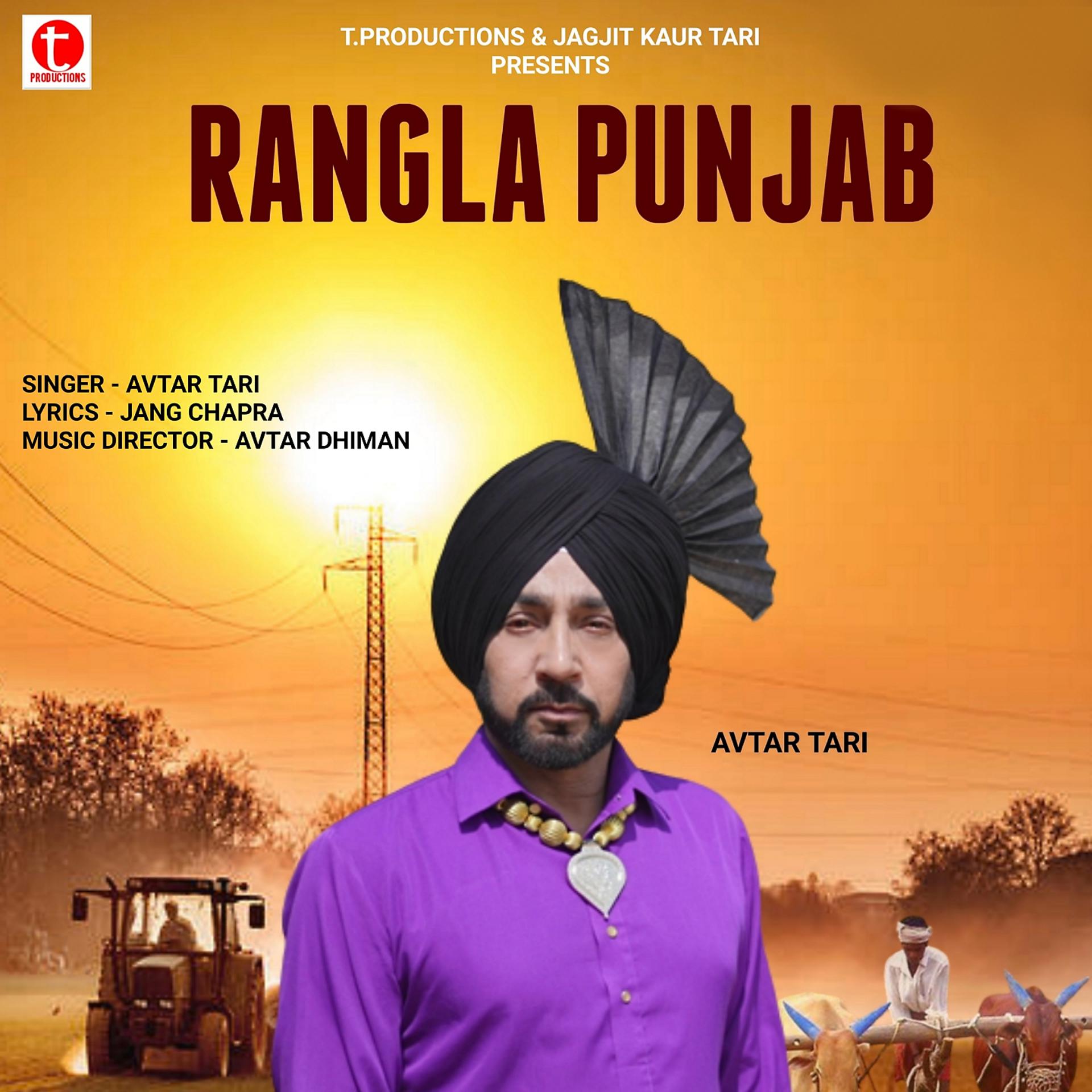 Постер альбома Rangla Punjab