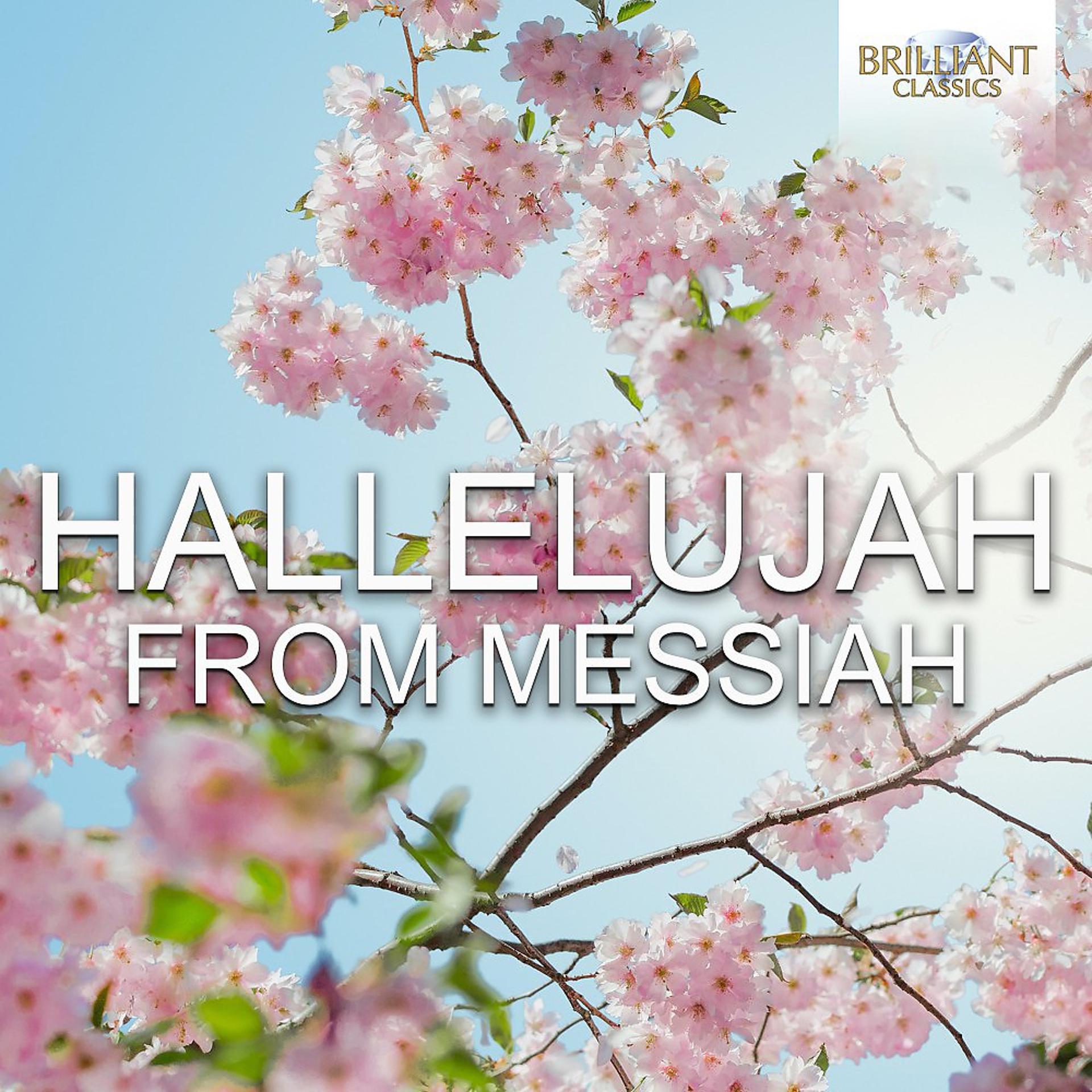 Постер альбома Hallelujah from Messiah