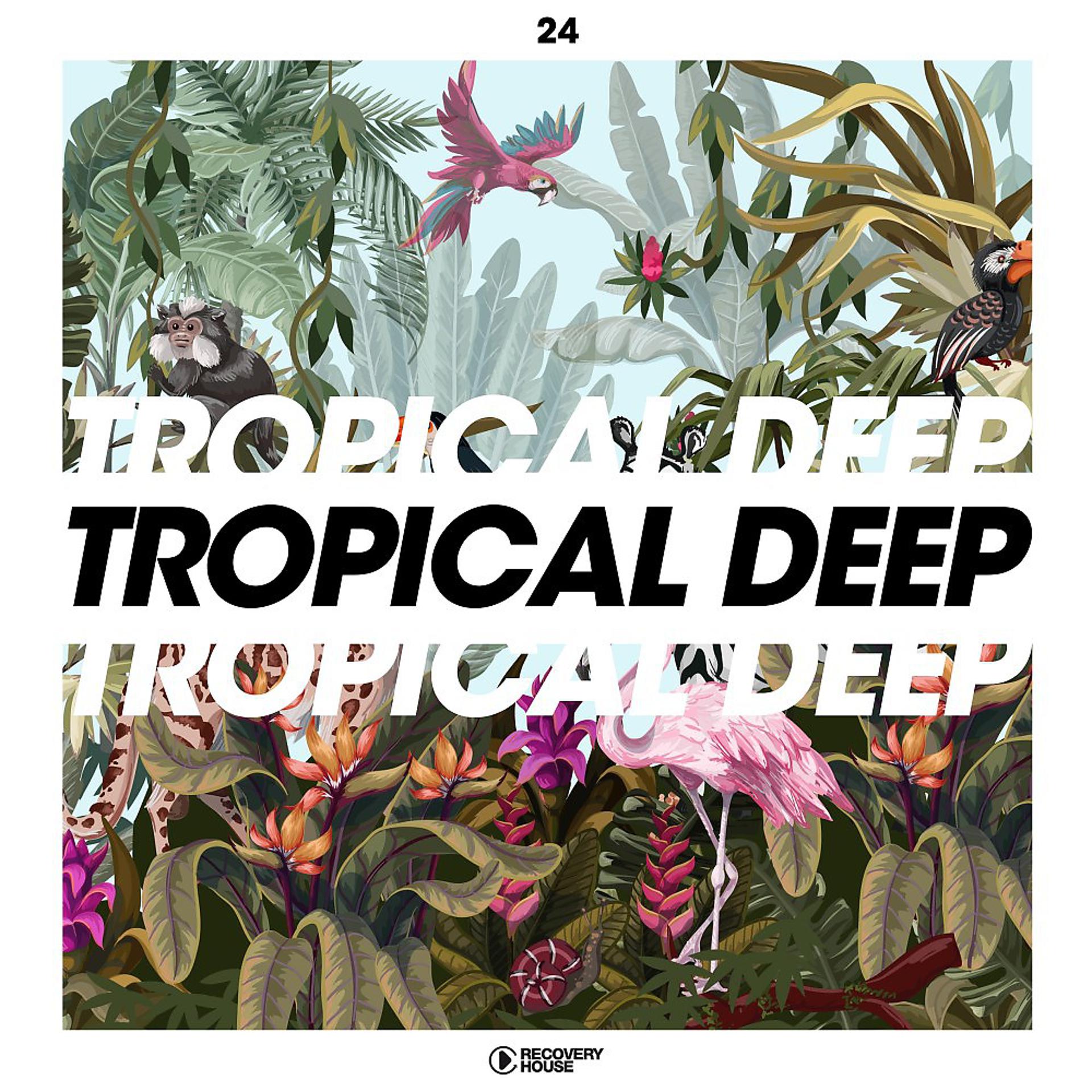 Постер альбома Tropical Deep, Vol. 24