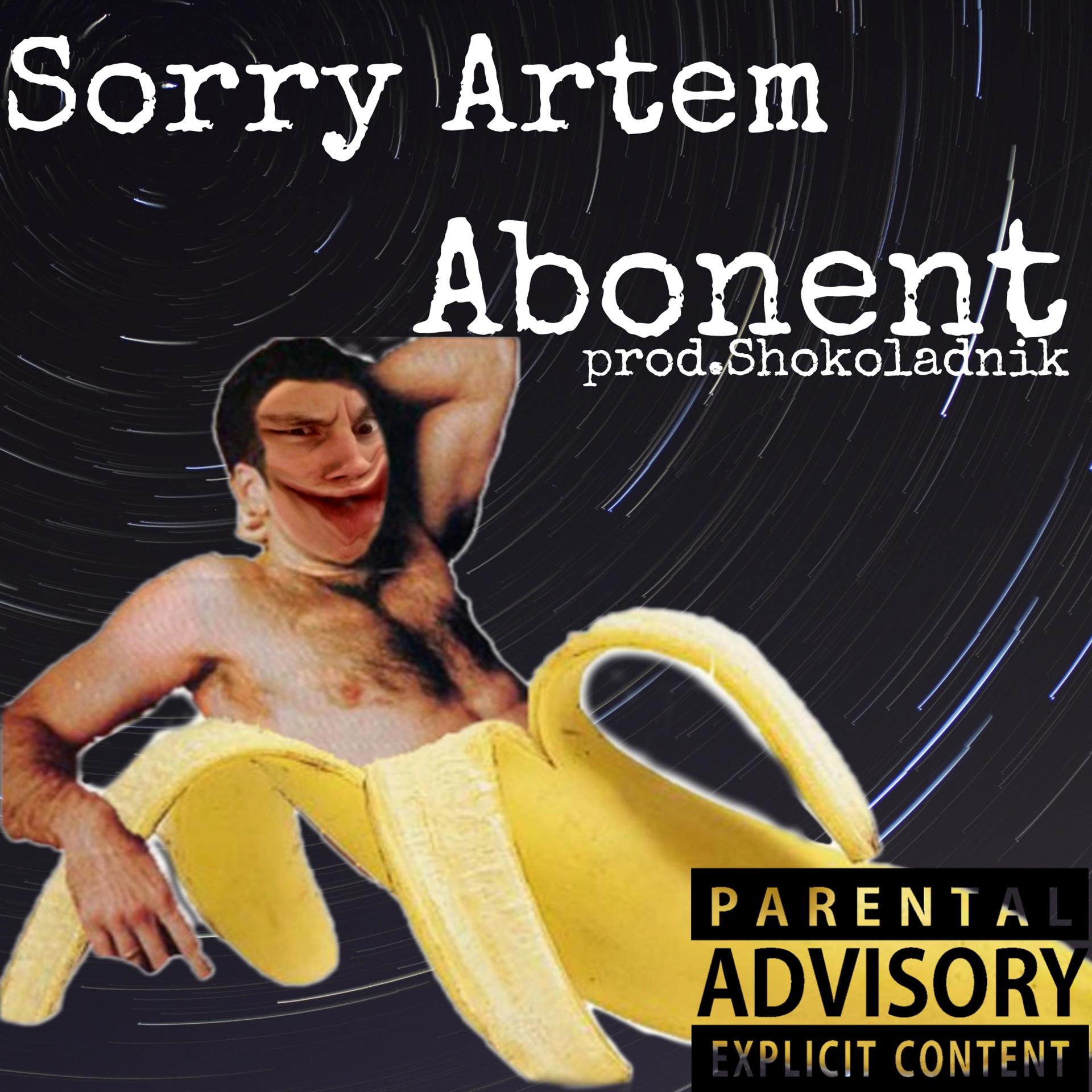 Постер альбома Sorry Artem