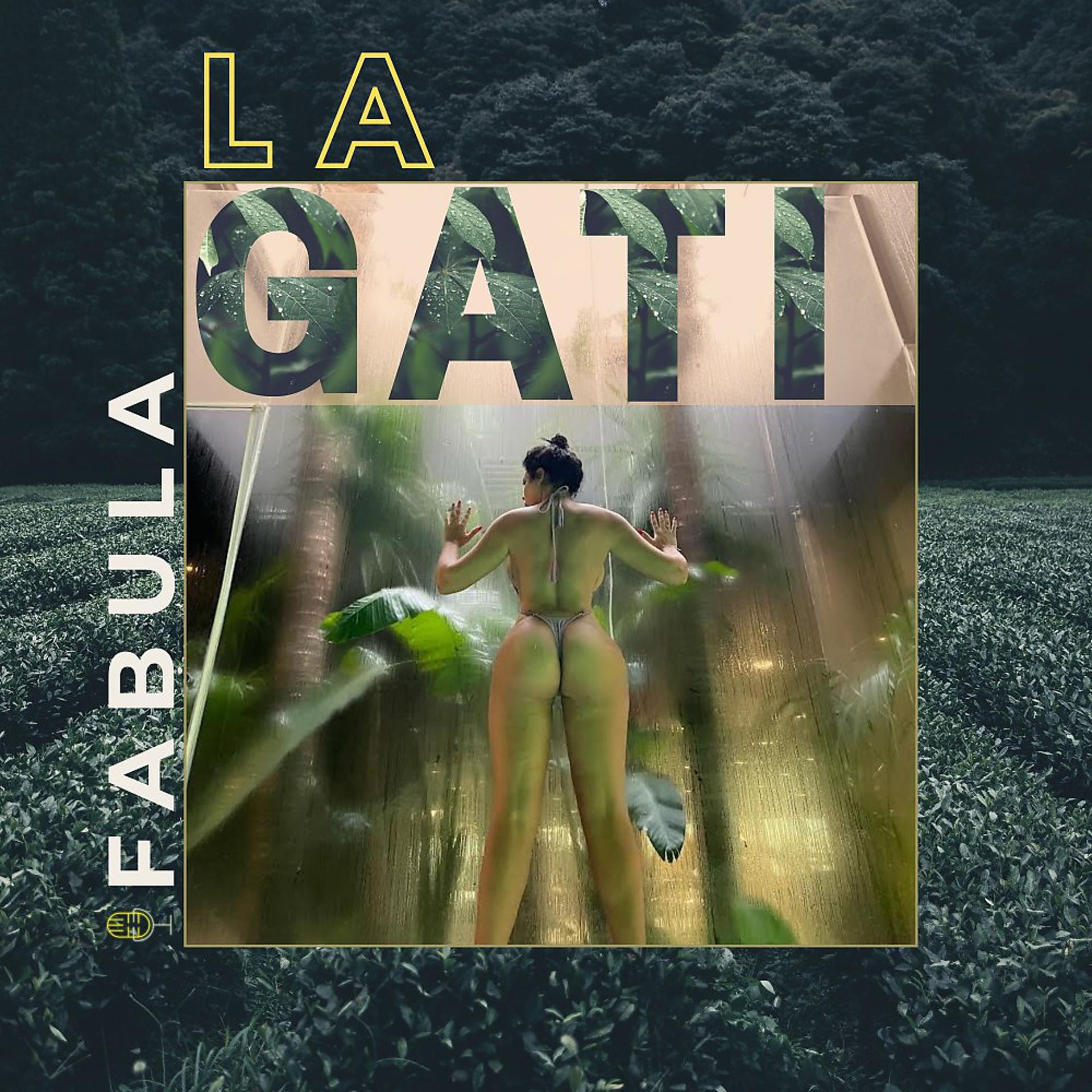 Постер альбома La Gati