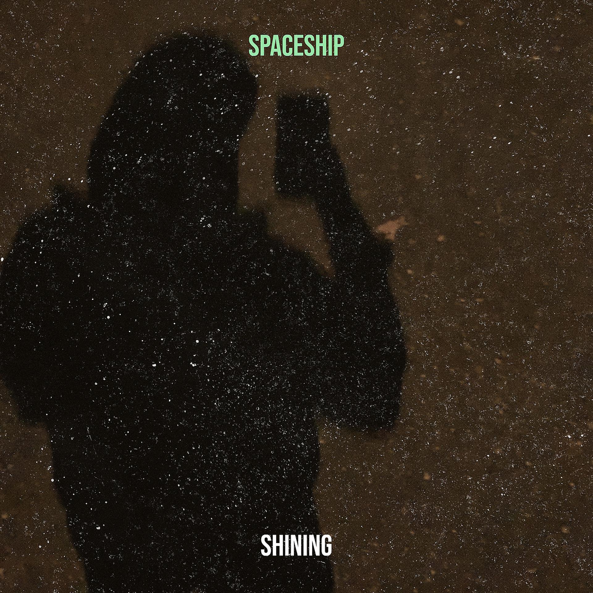 Постер альбома Spaceship