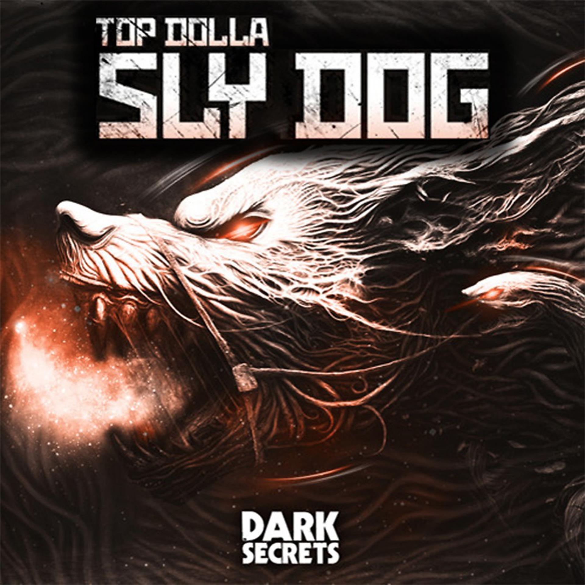 Постер альбома Sly Dog
