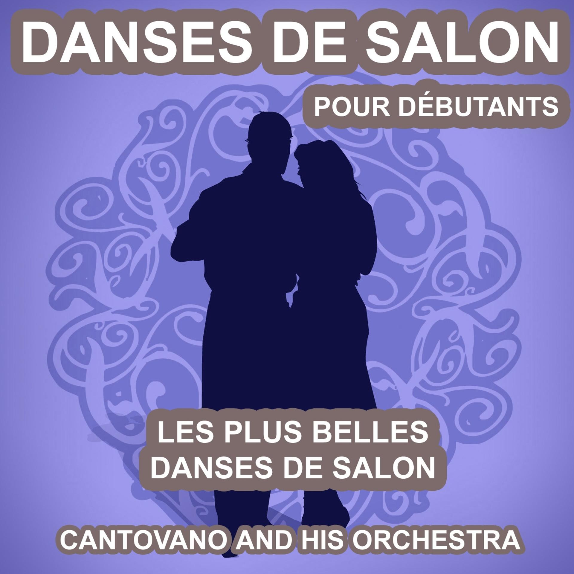 Постер альбома Danses de salon pour débutants