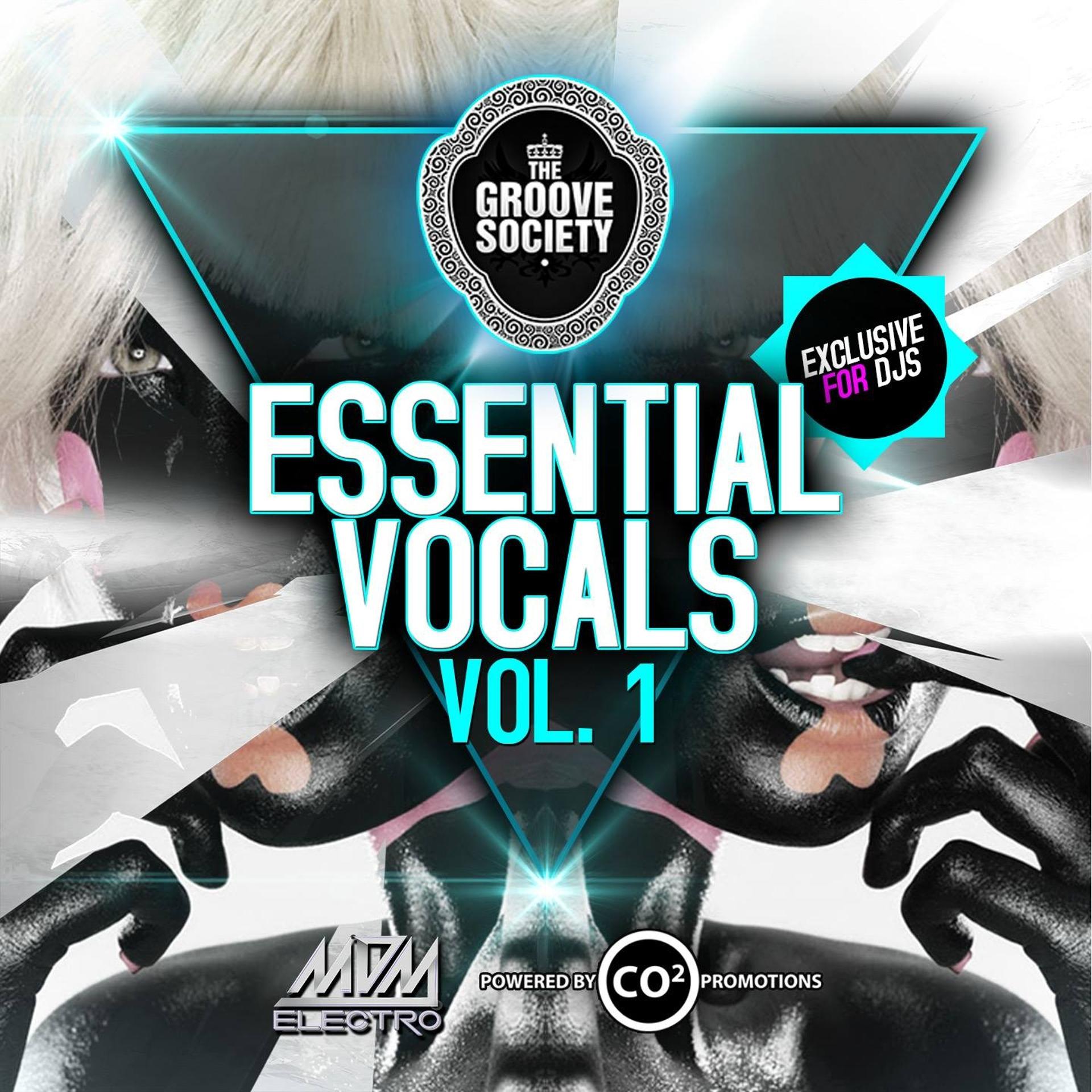 Постер альбома Essential Vocals, Vol. 1