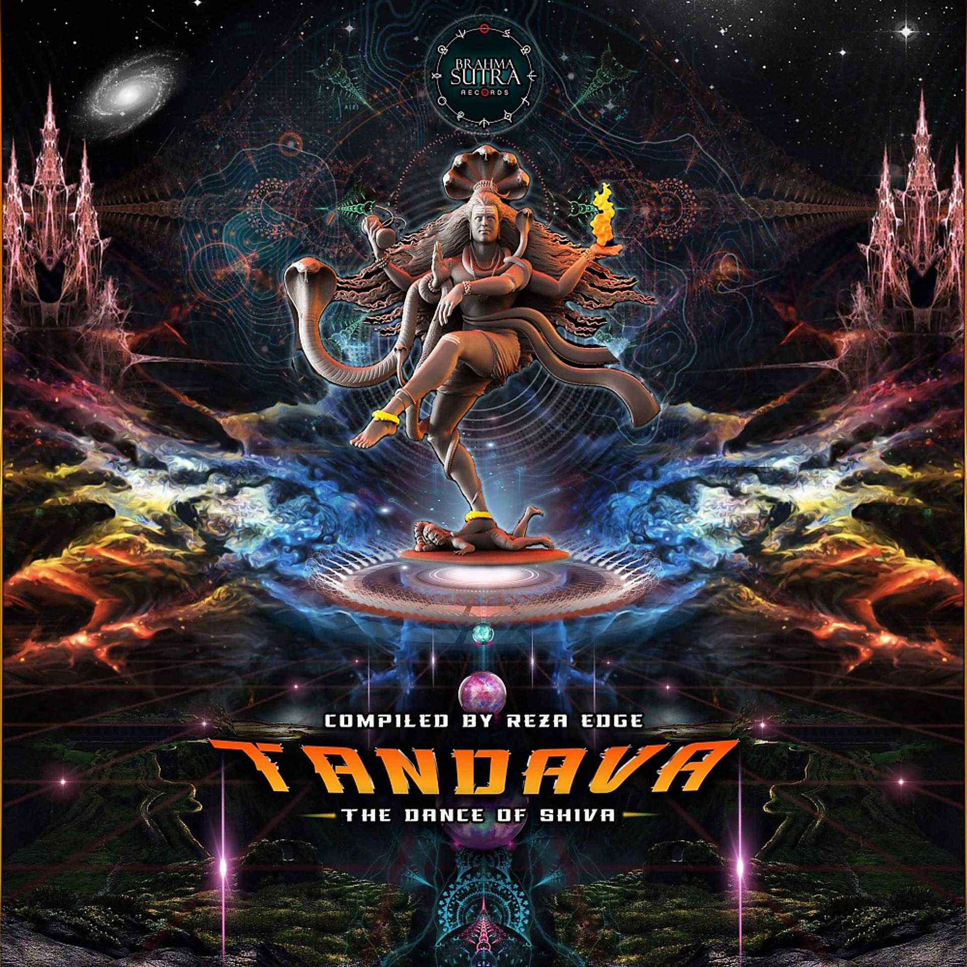 Постер альбома Tandava