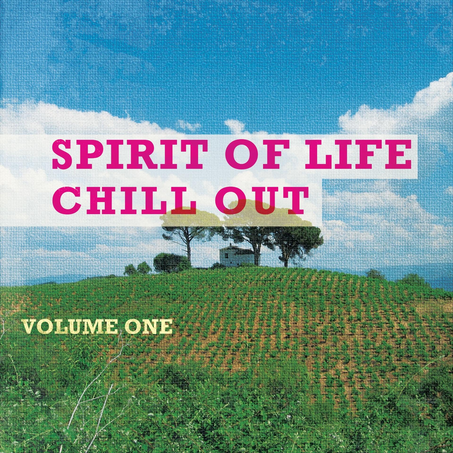 Постер альбома Spirit of Life - Chill out, Vol. 1