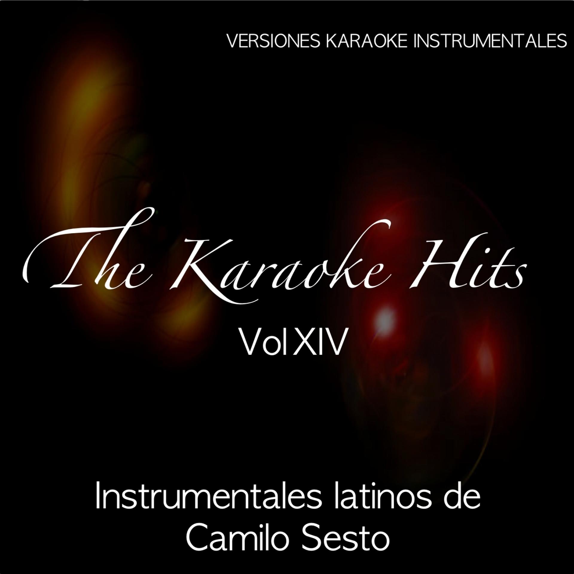 Постер альбома The Karaoke Hits, Vol. 14: Hits Latinos (Originally Performed By Camilo Sesto)