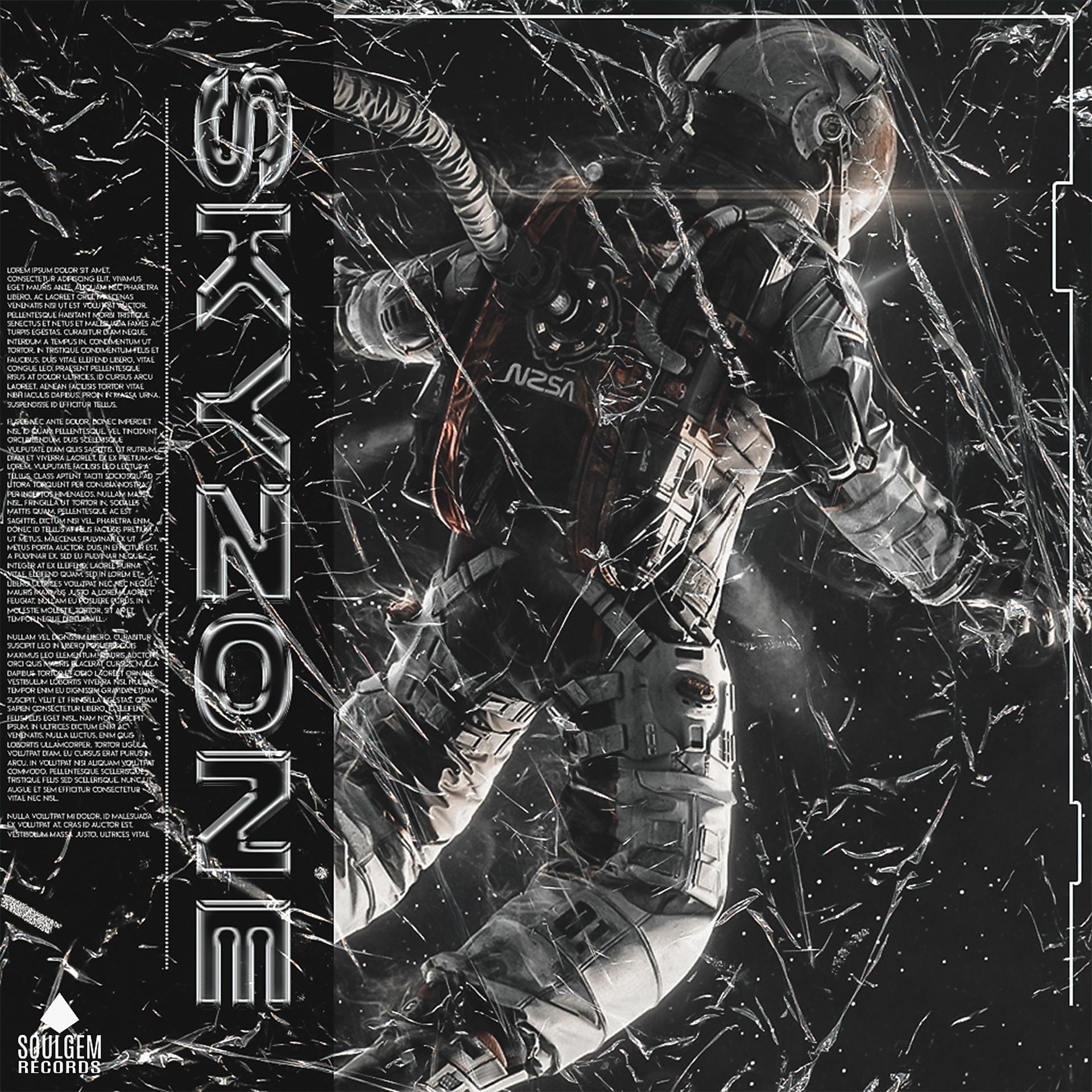 Постер альбома Skyzone
