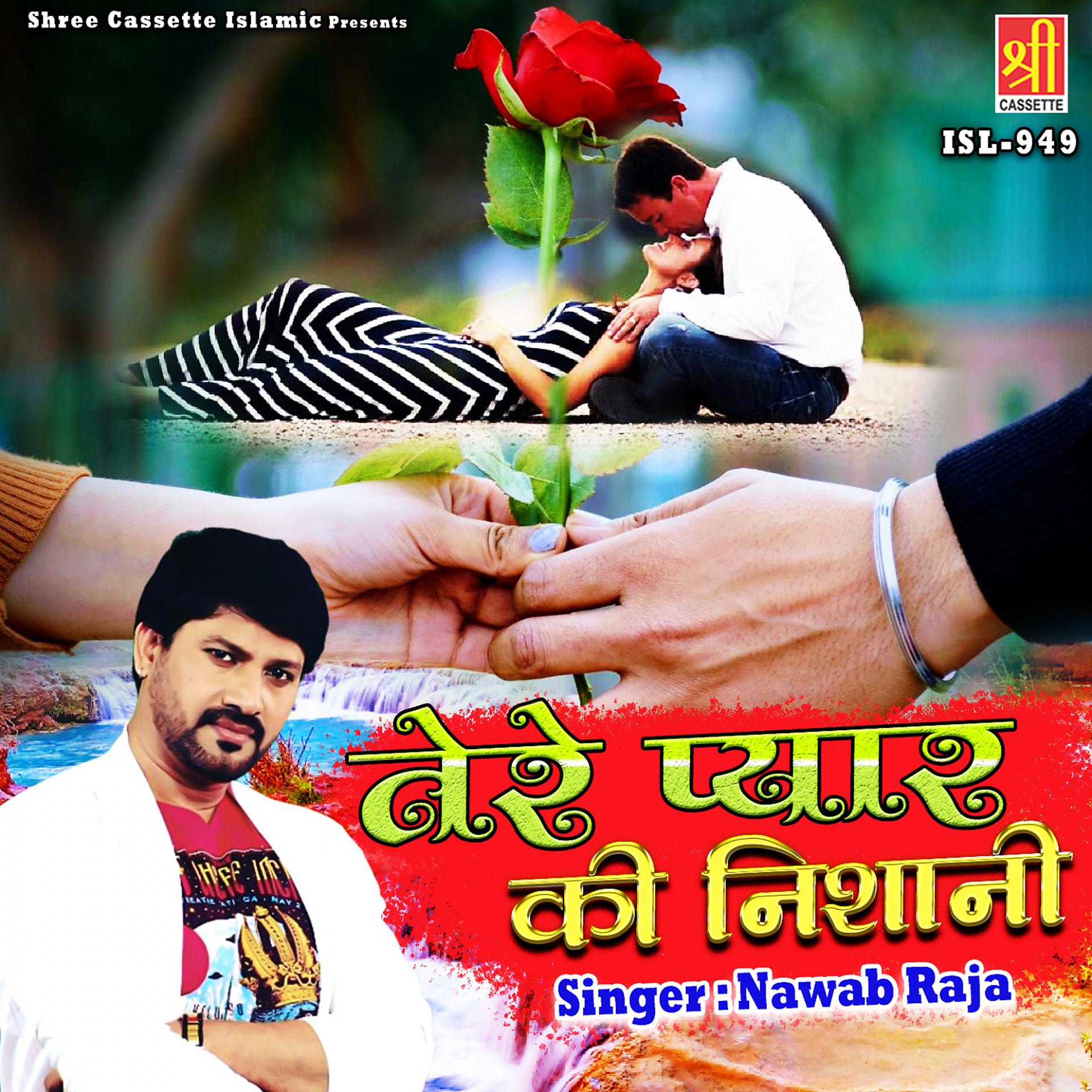 Постер альбома Tere Pyar Ki Nishani