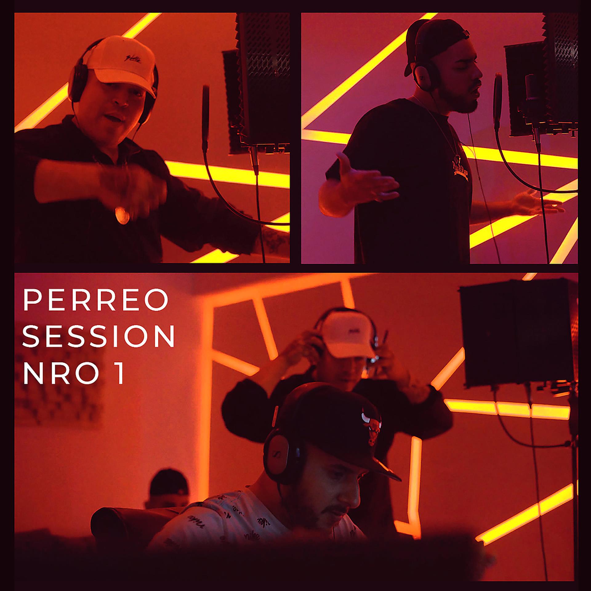 Постер альбома Perreosession N1: Mucho Perreo