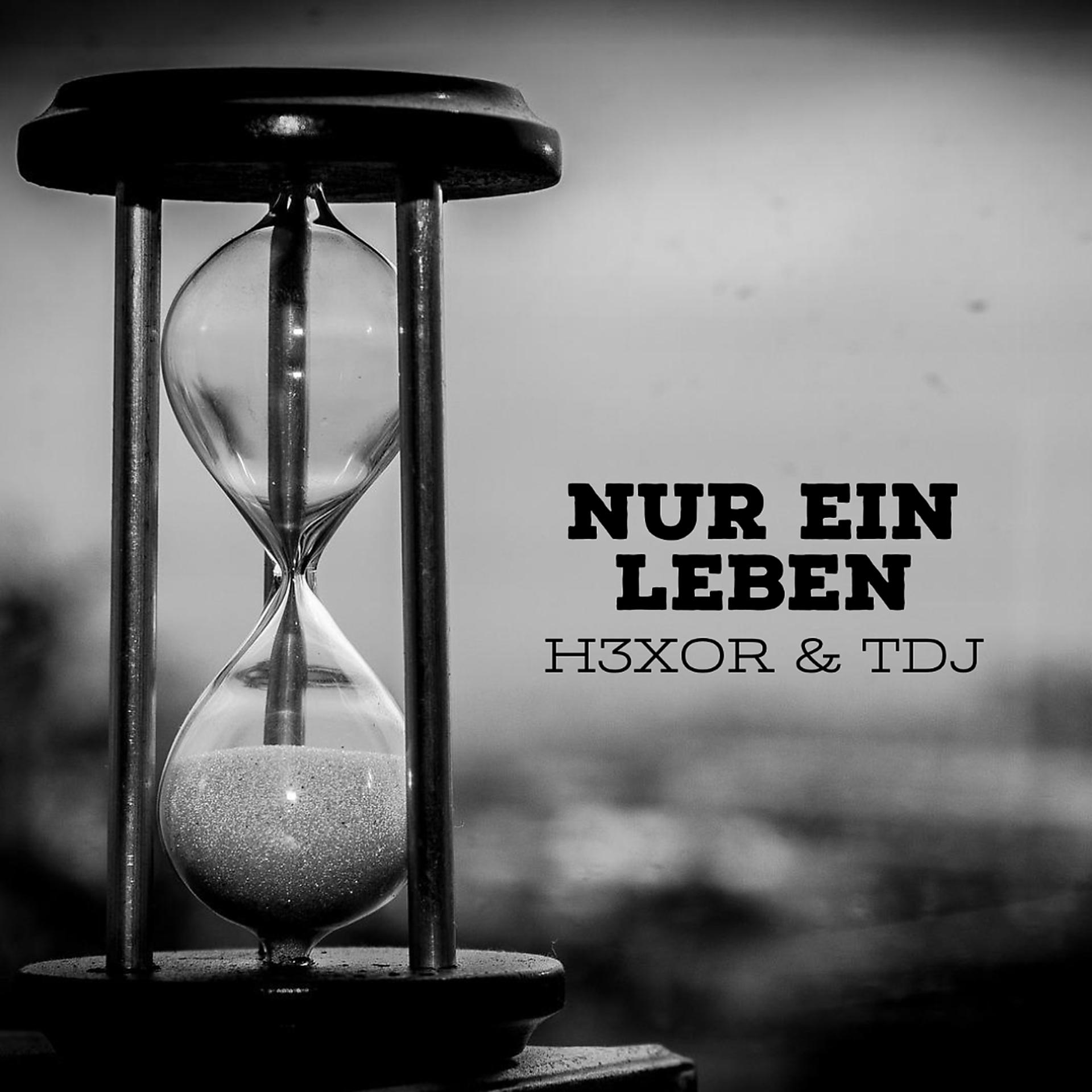 Постер альбома Nur Ein Leben