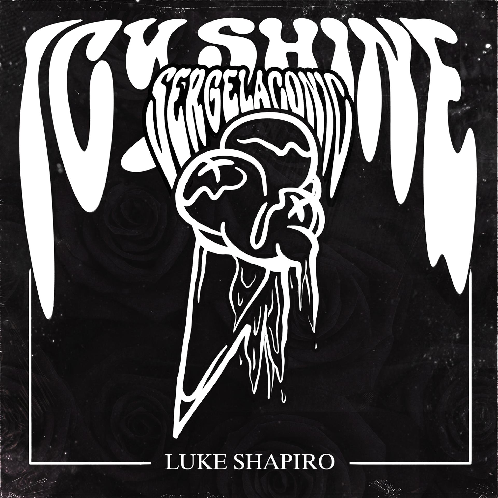 Постер альбома Luke Shapiro