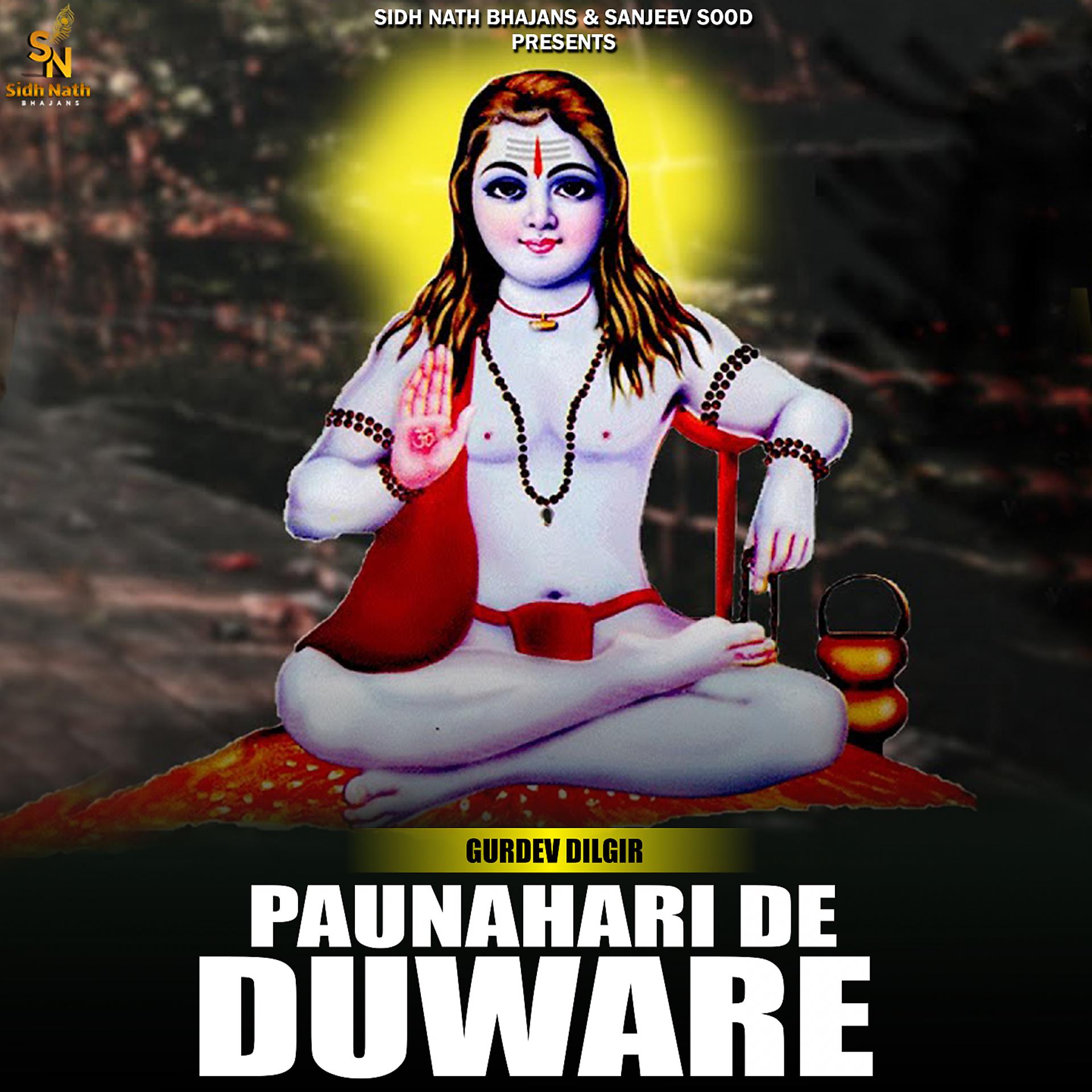 Постер альбома Paunahari De Duware