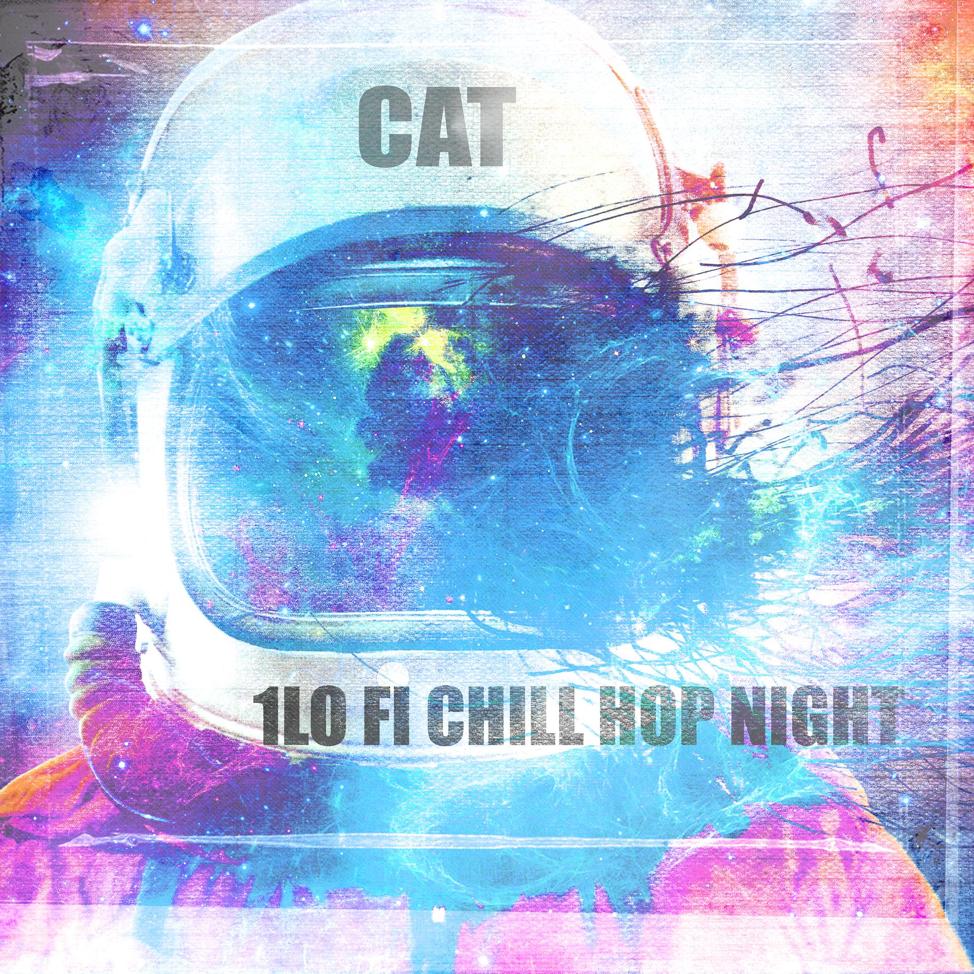 Постер альбома 1lo Fi Chill Hop Night