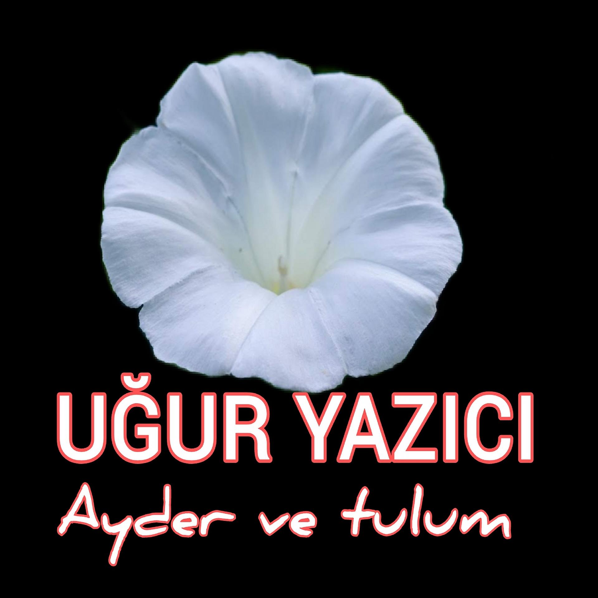Постер альбома Ayder ve Tulum