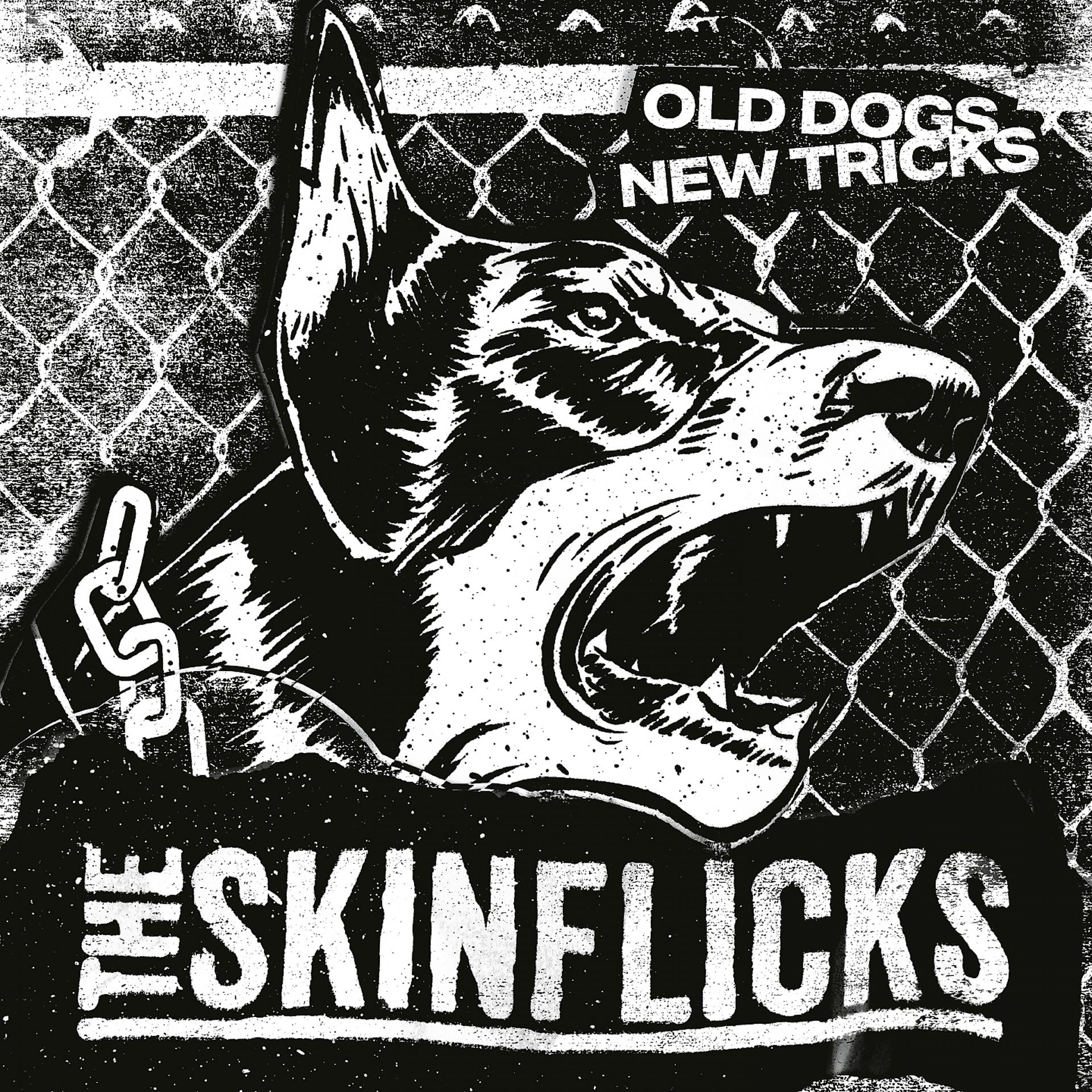 Постер альбома Old dogs, new tricks
