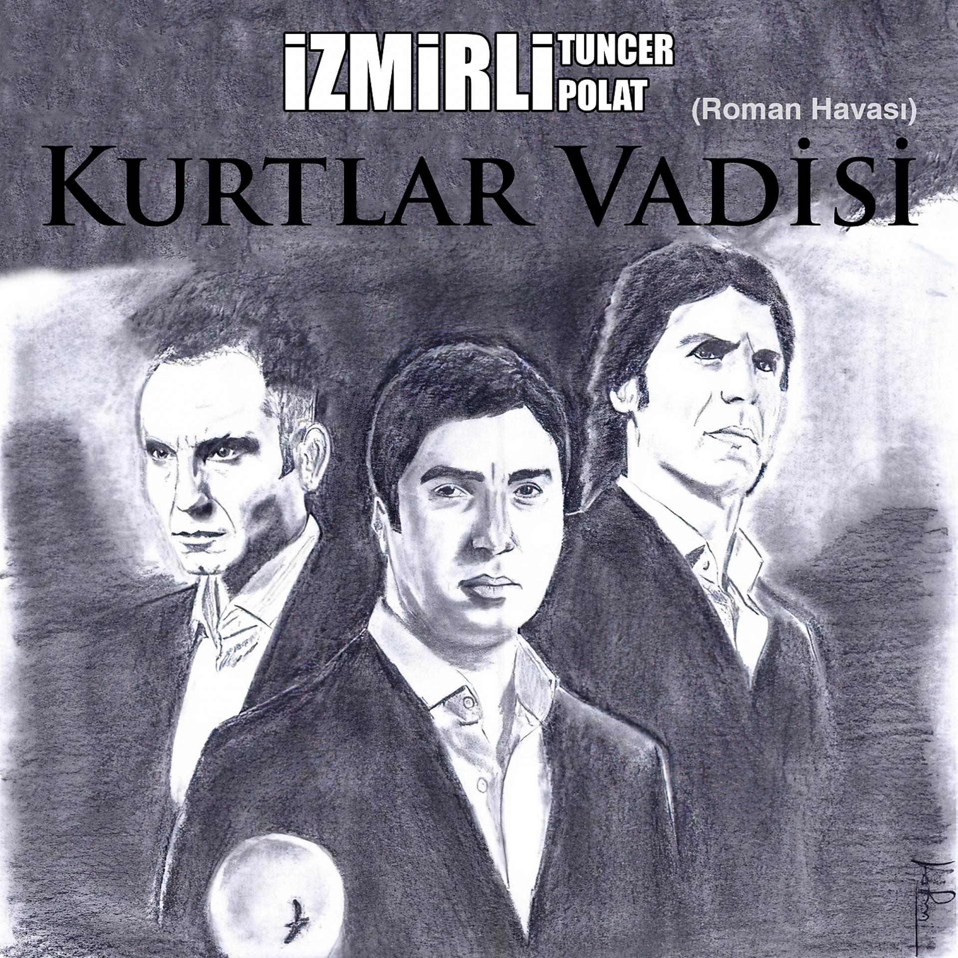 Постер альбома Kurtlar Vadisi (Roman Havası)