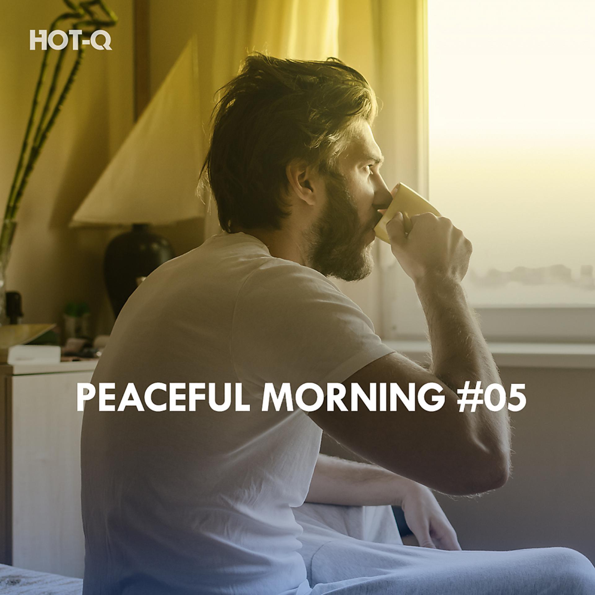 Постер альбома Peaceful Morning, Vol. 05