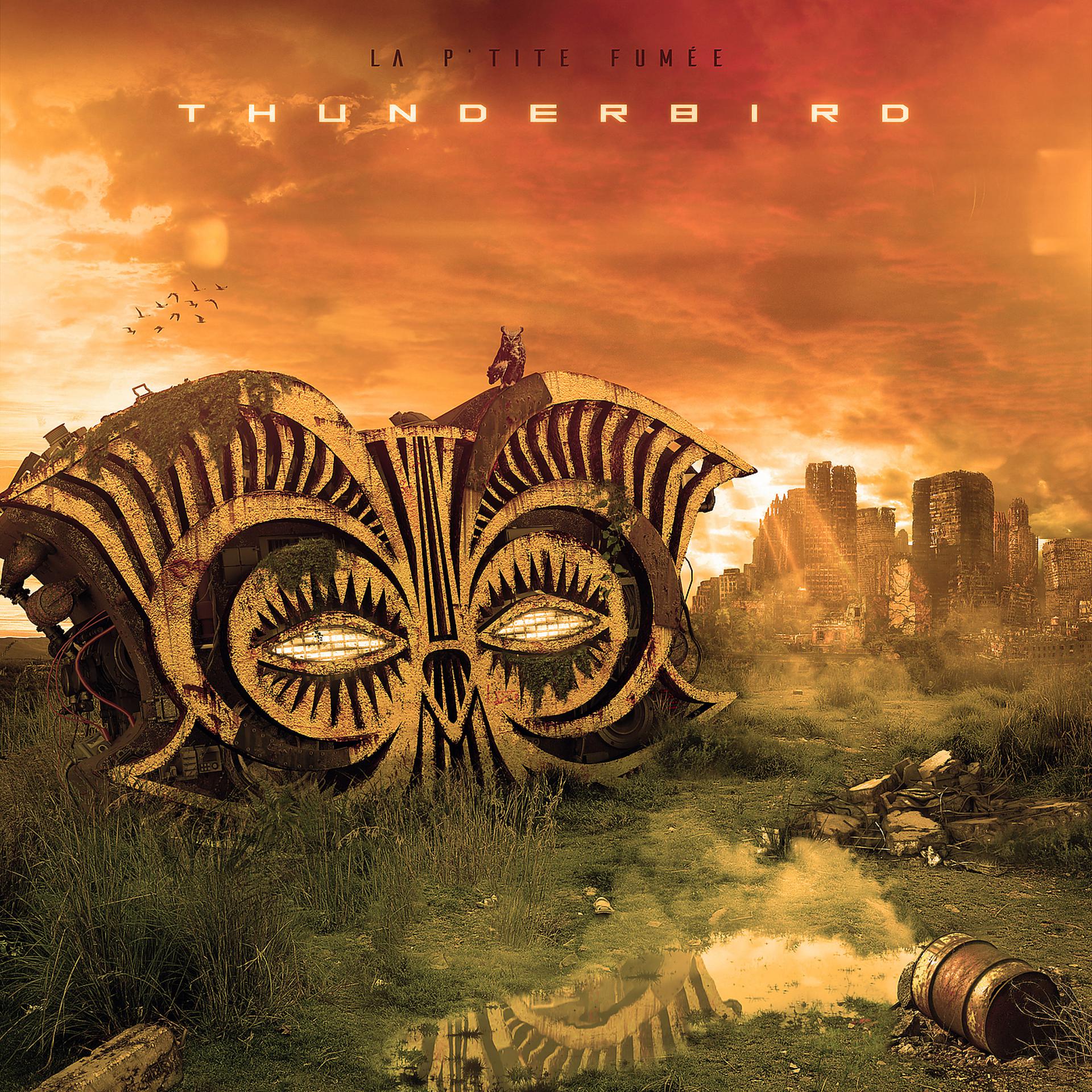 Постер альбома Thunderbird