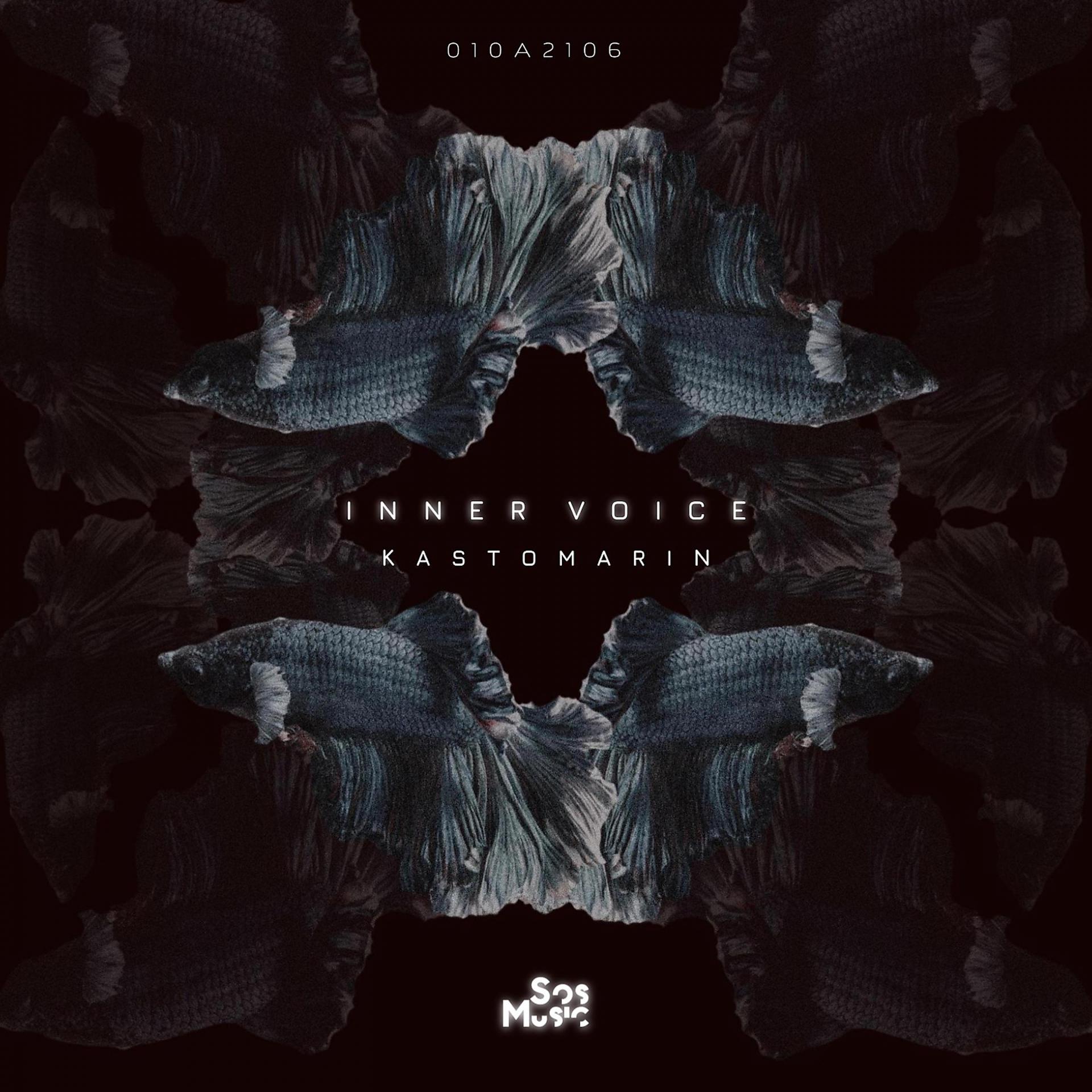 Постер альбома Inner Voice