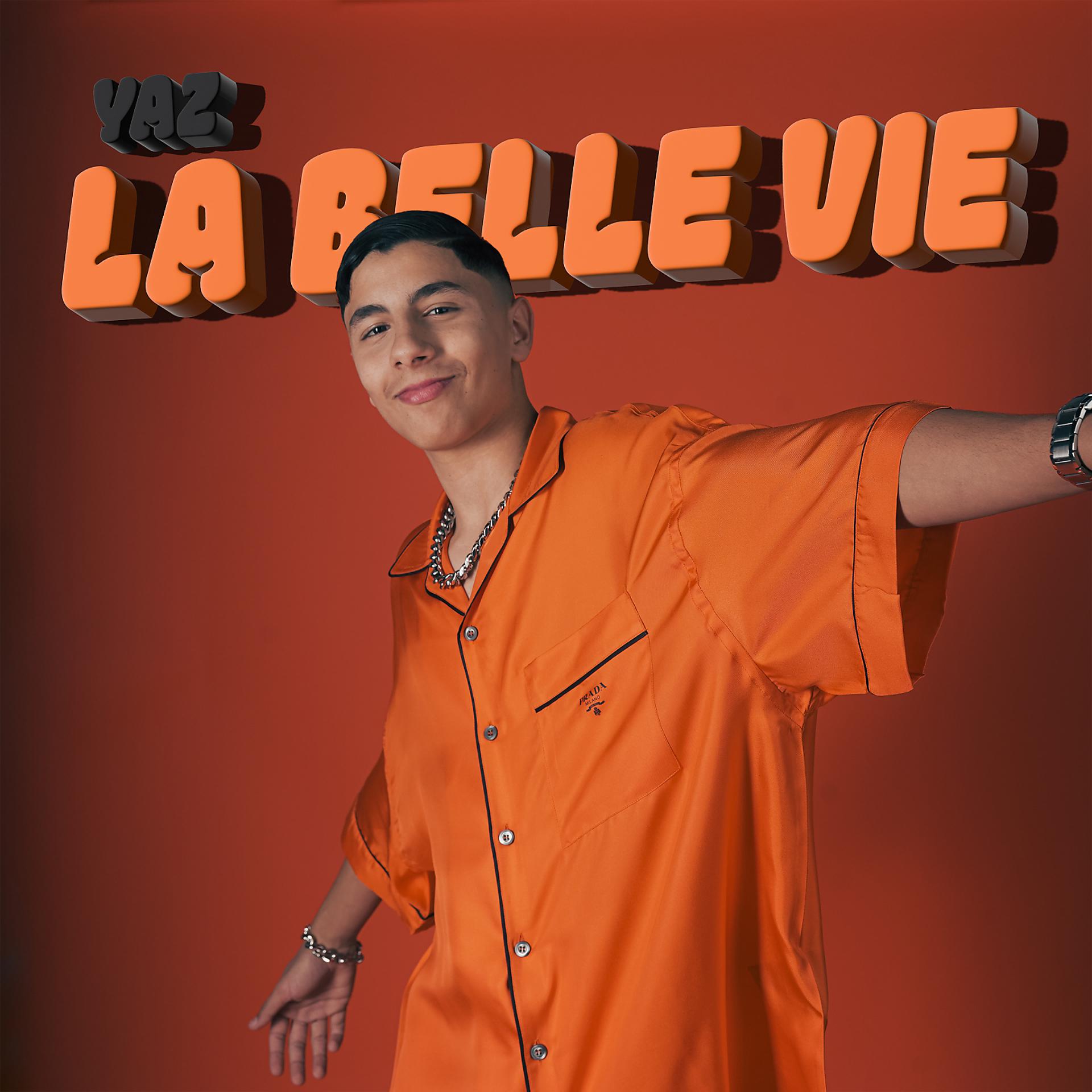 Постер альбома La belle vie