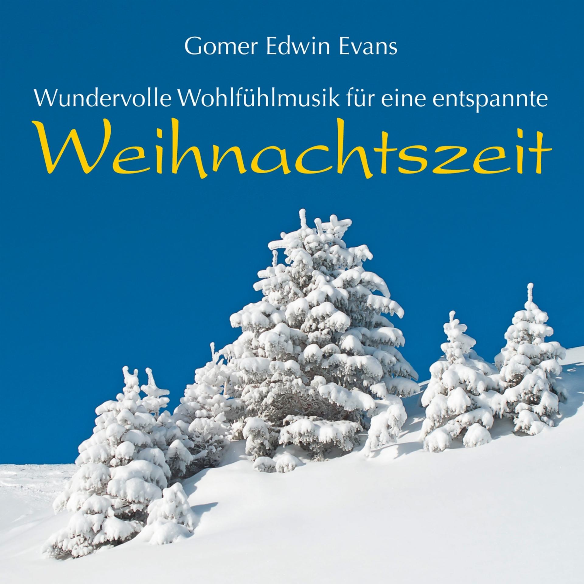 Постер альбома Weihnachtszeit: Traumhaft schöne Entspannungs-Musik