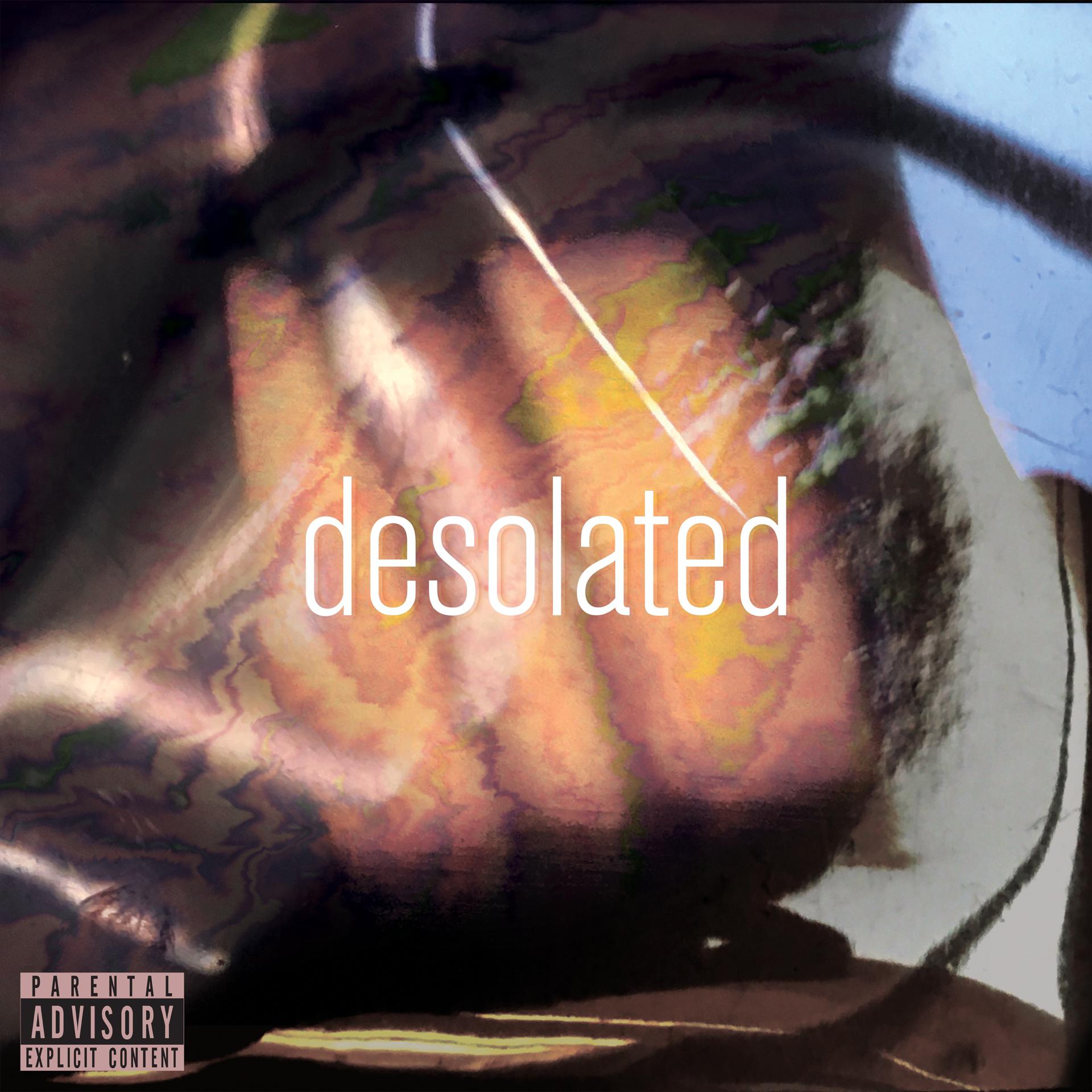 Постер альбома Desolated