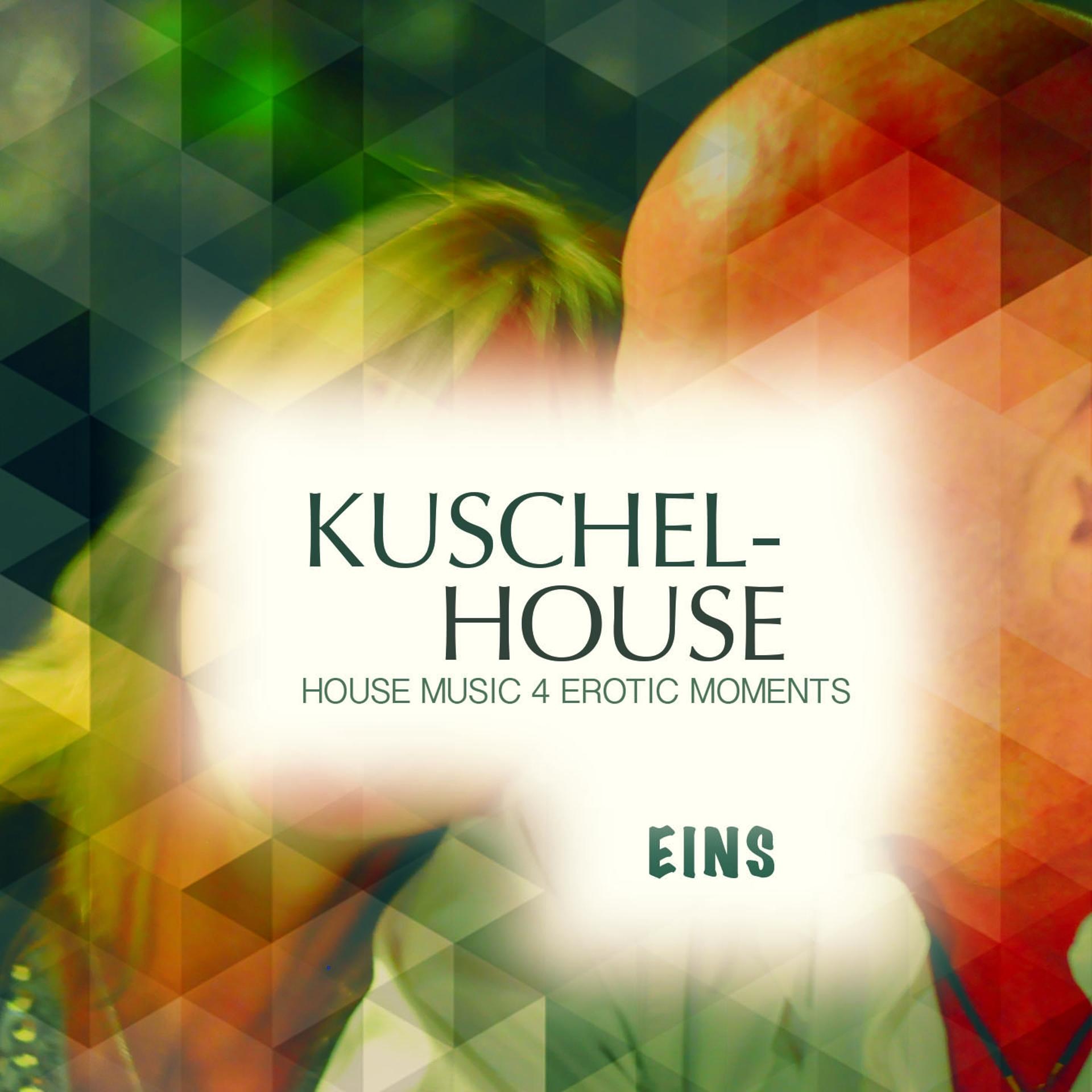 Постер альбома Kuschel House, Vol. 1