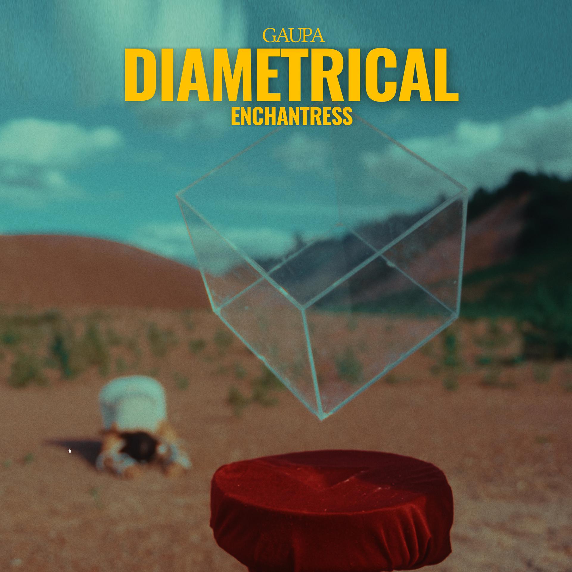 Постер альбома Diametrical Enchantress