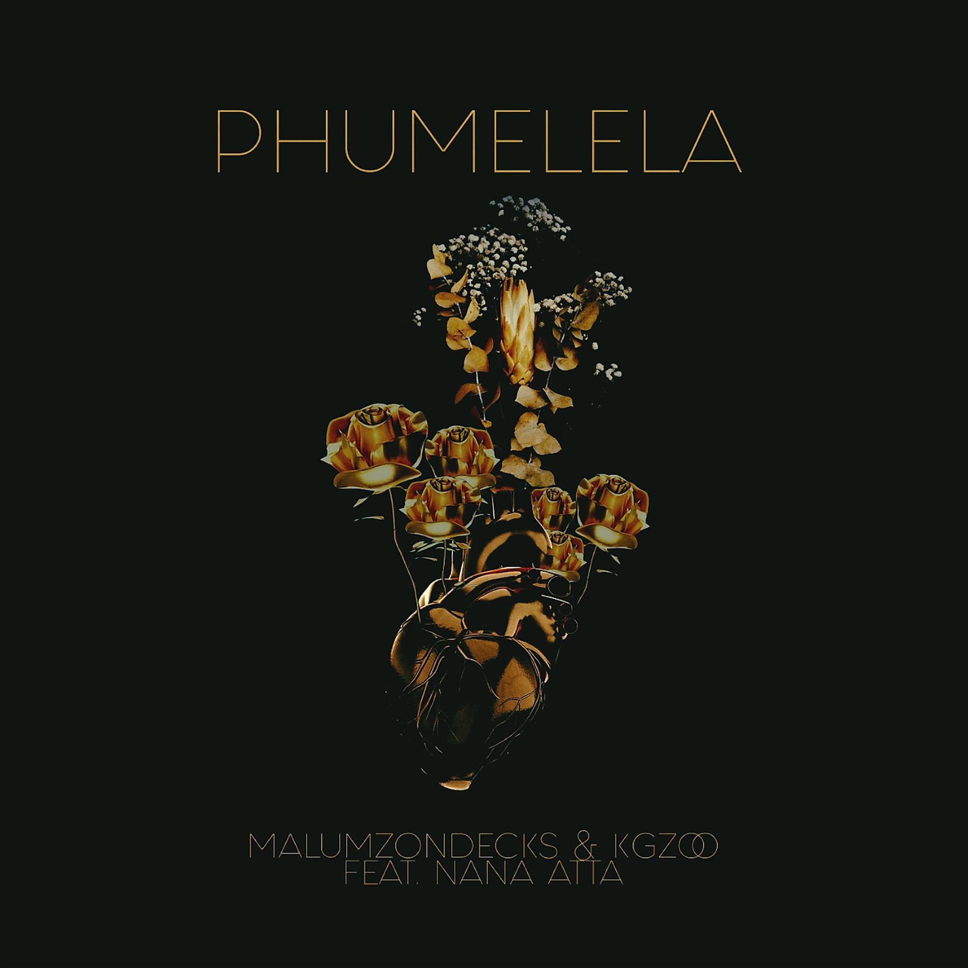 Постер альбома Phumelela