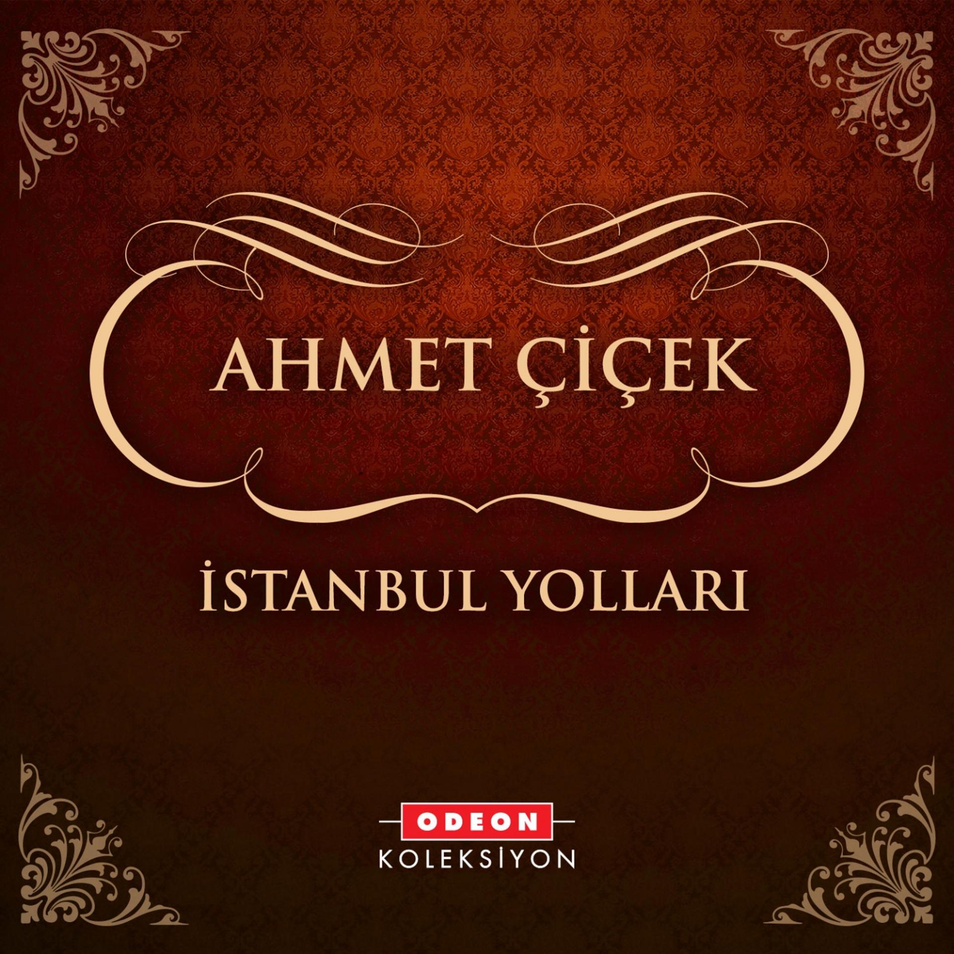 Постер альбома İstanbul Yolları