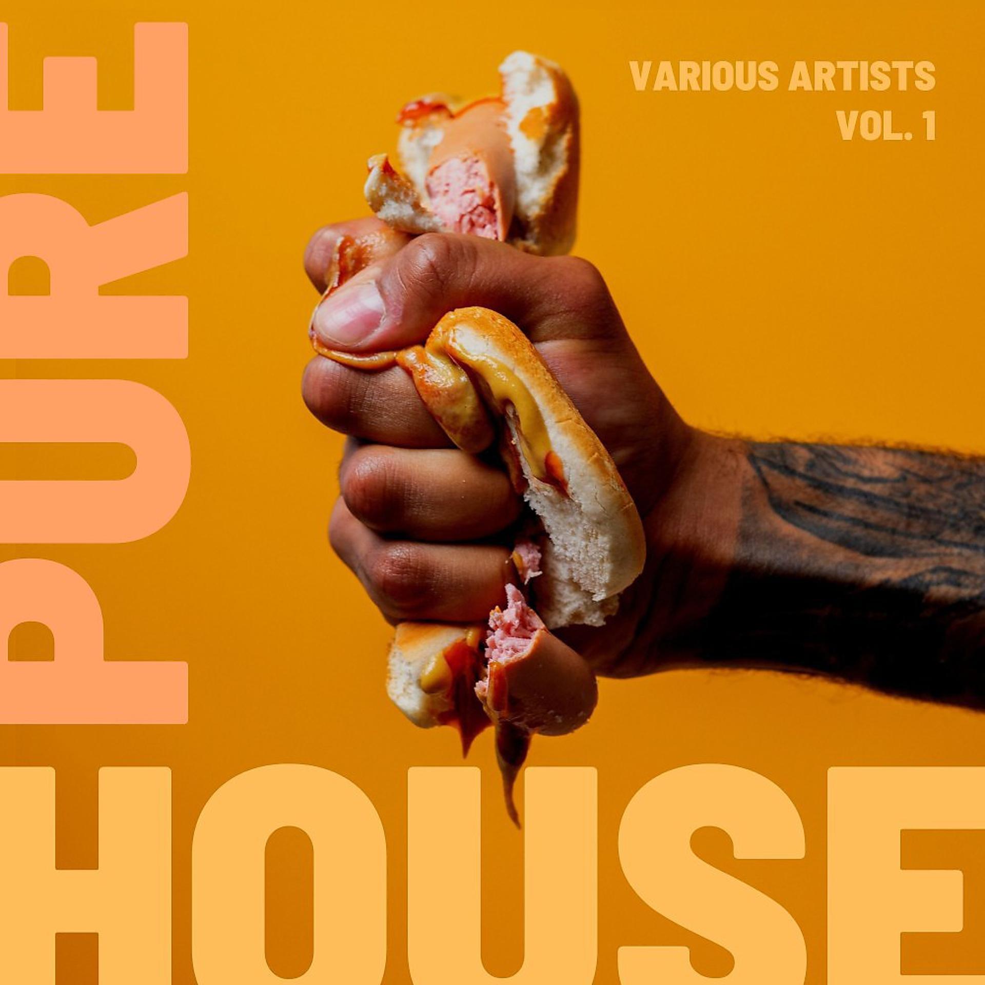 Постер альбома Pure House, Vol. 1