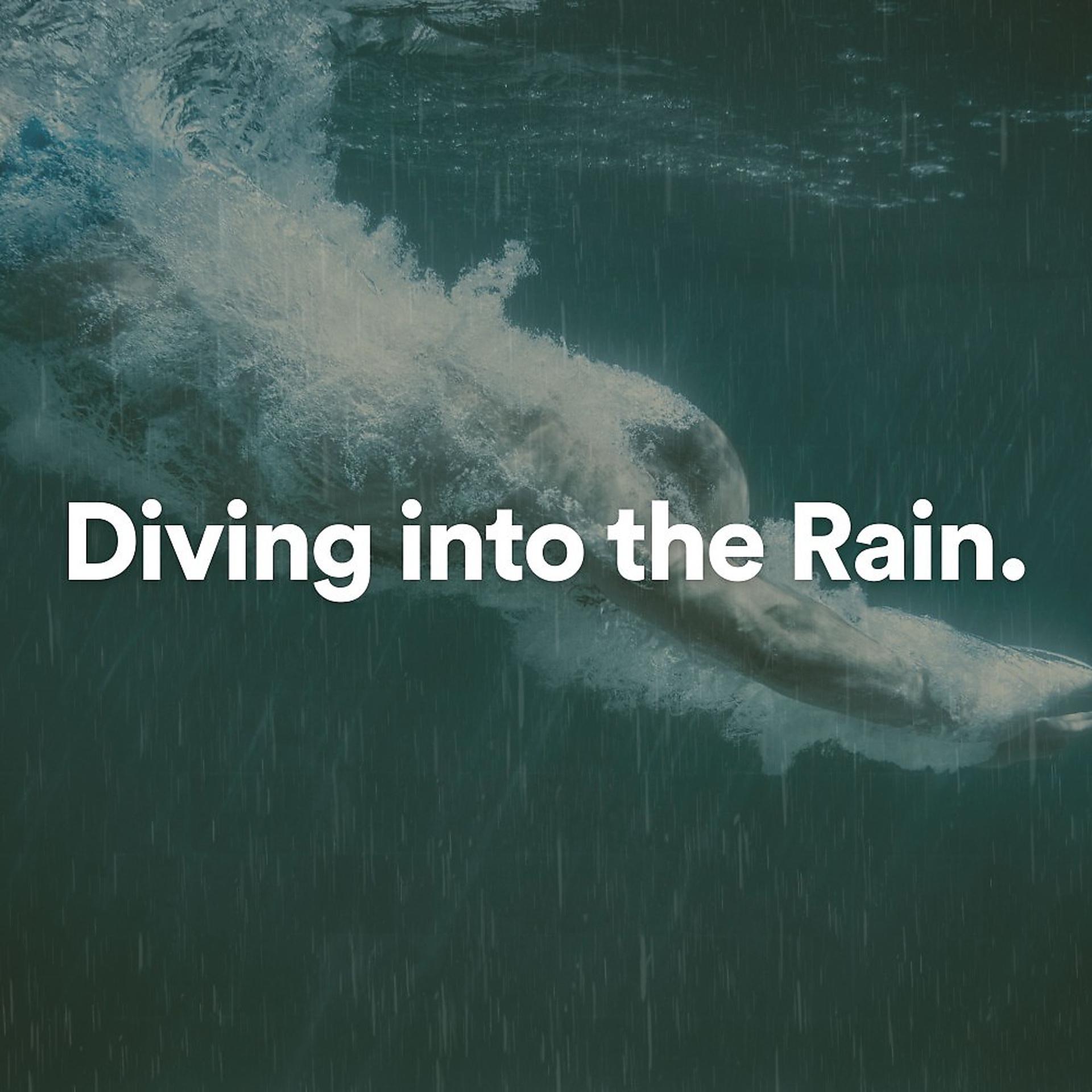 Постер альбома Diving into the Rain
