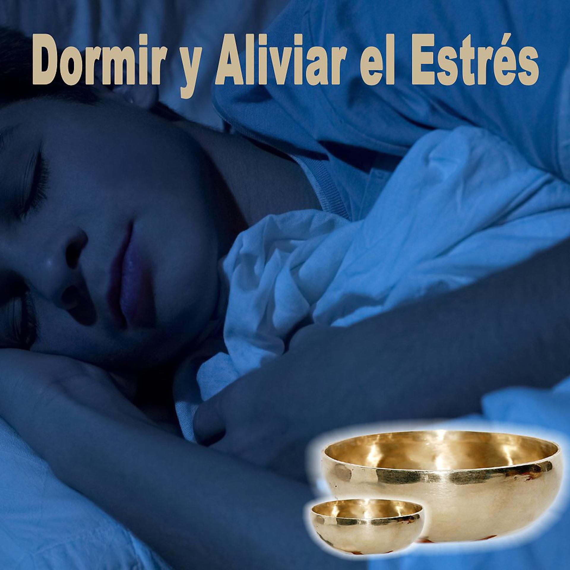 Постер альбома Dormir y Aliviar el Estrés (Sueño Profundo y Reparador en Menos de 5 Minutos - Easy Zen Meditación)