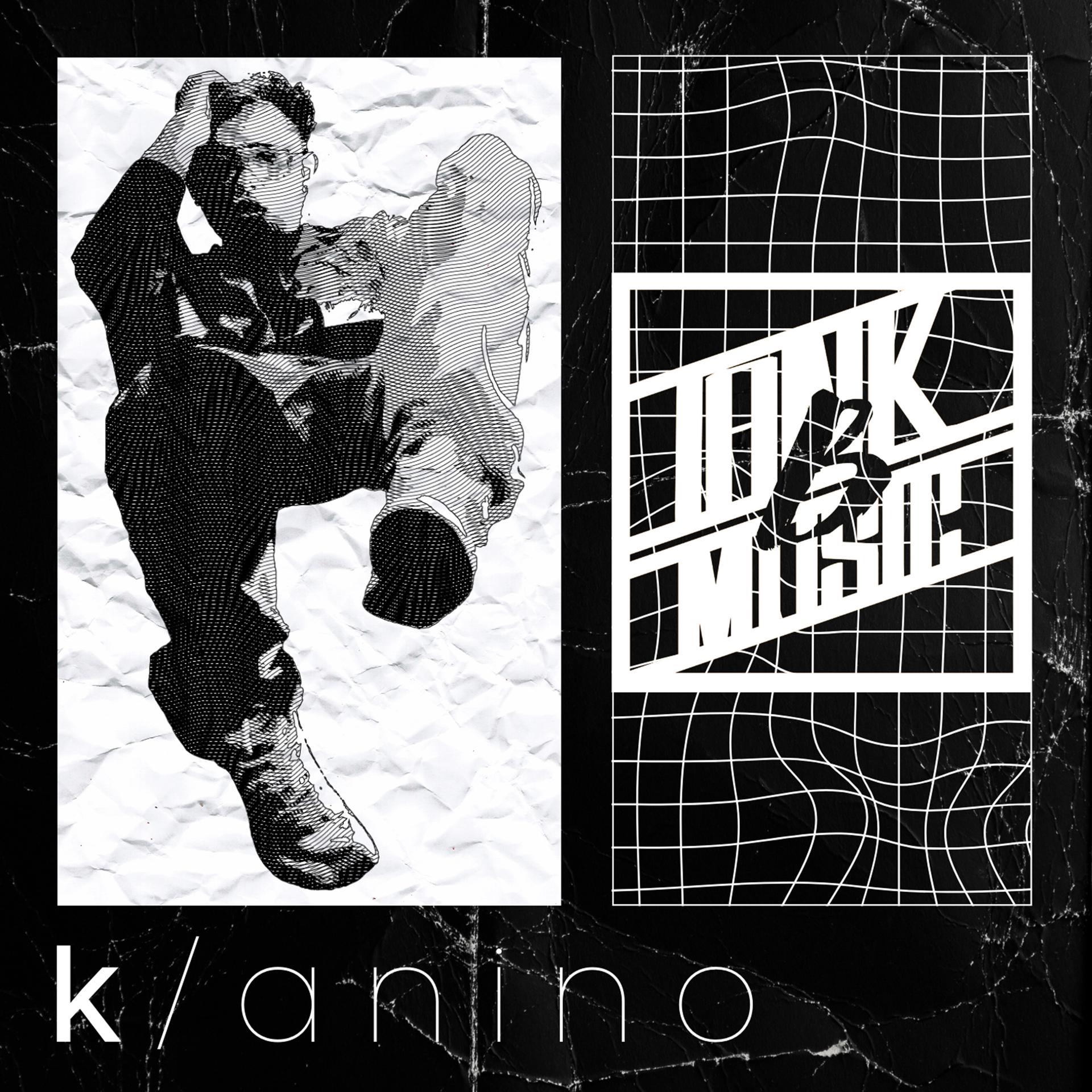 Постер альбома k/anino